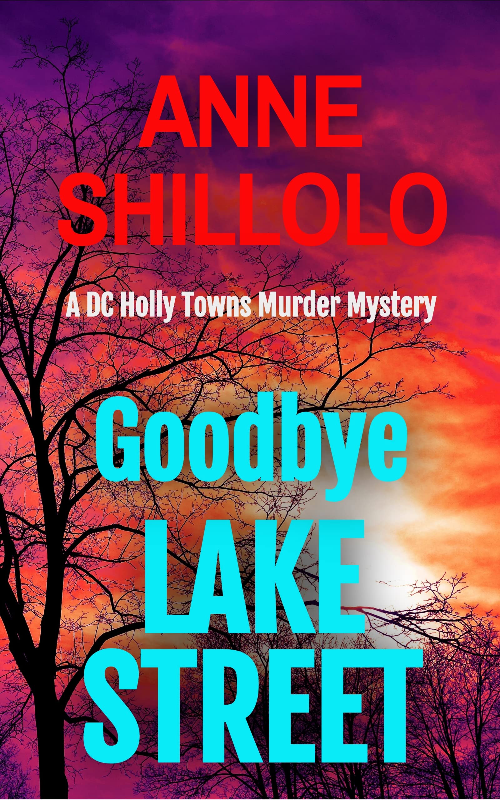 The Lester Street Murders: A Detective'S Untold Story - y5gt8b3