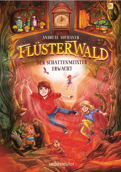 Der Schattenmeister erwacht book cover