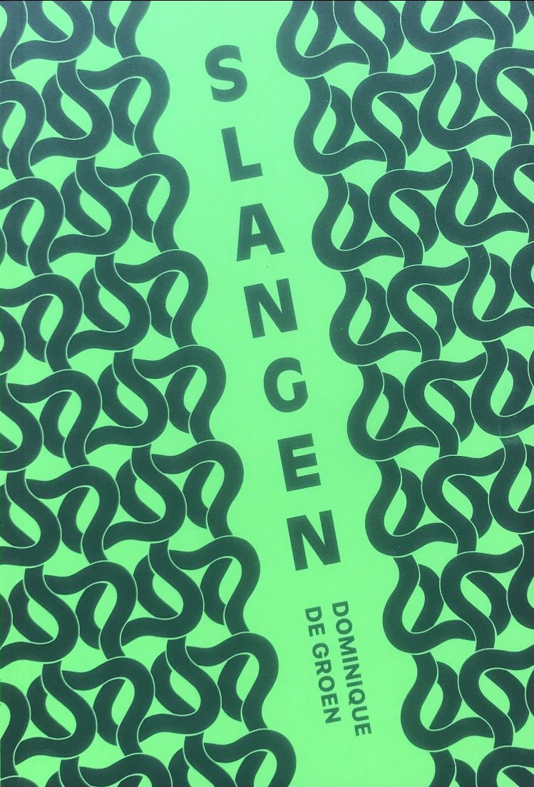 Slangen