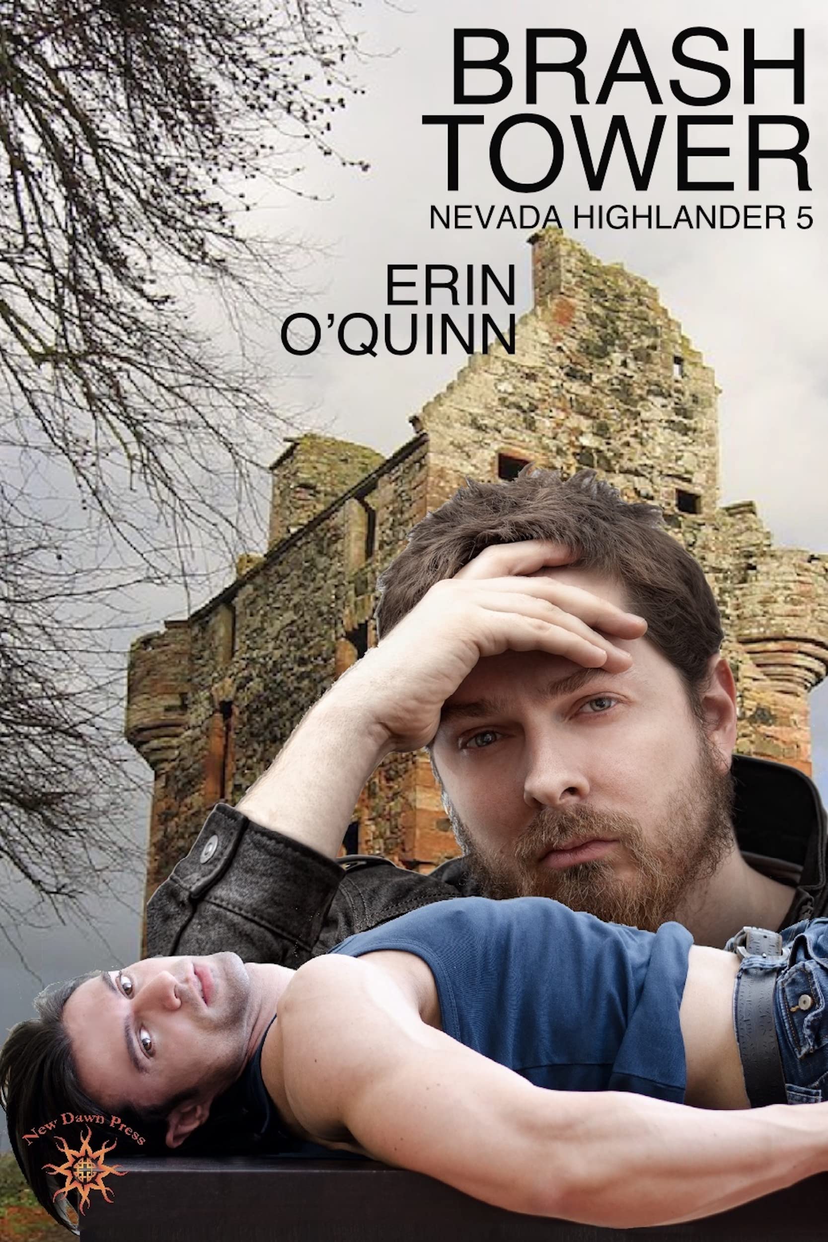 Brash Tower book cover
