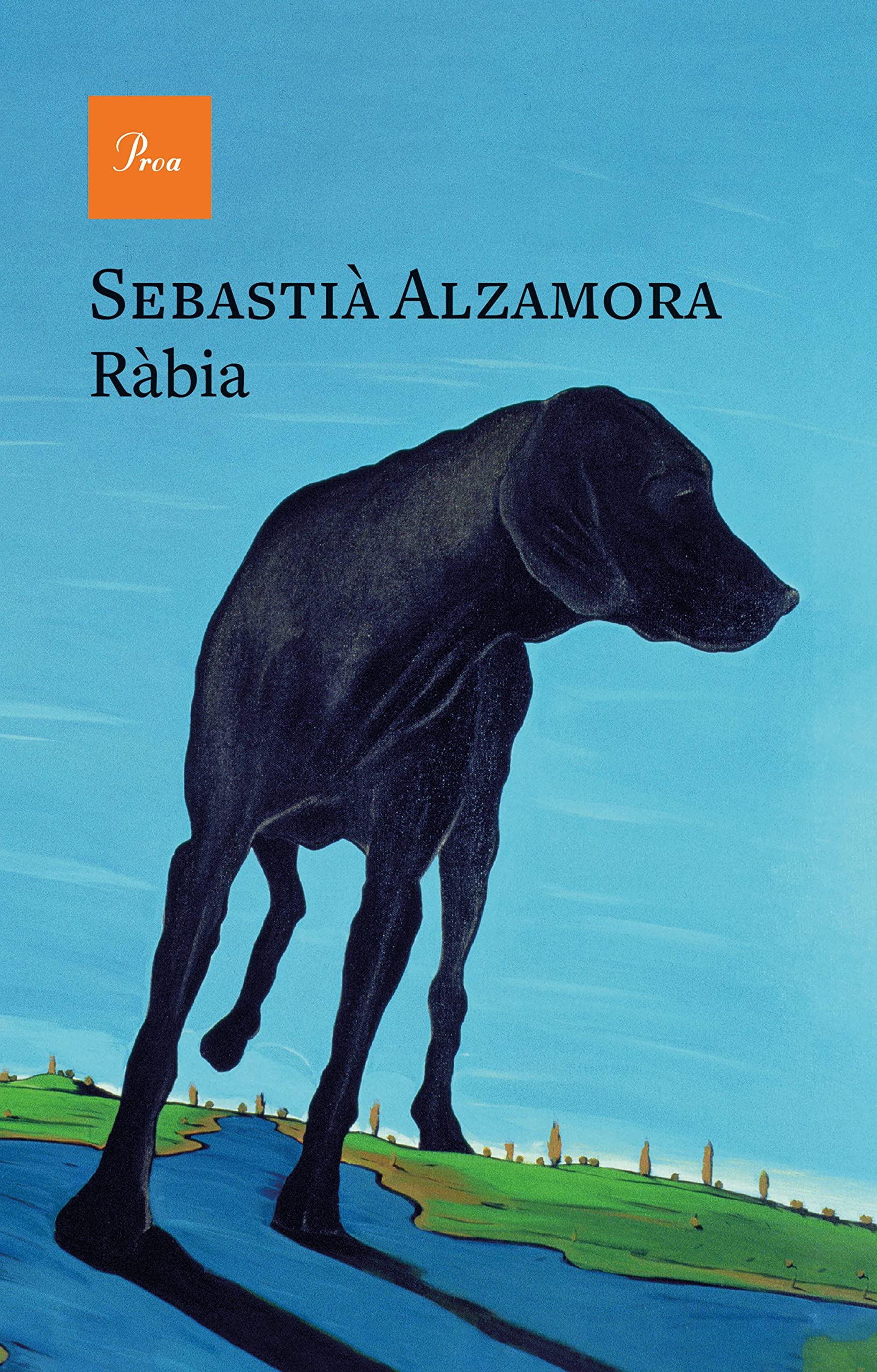 Ràbia book cover