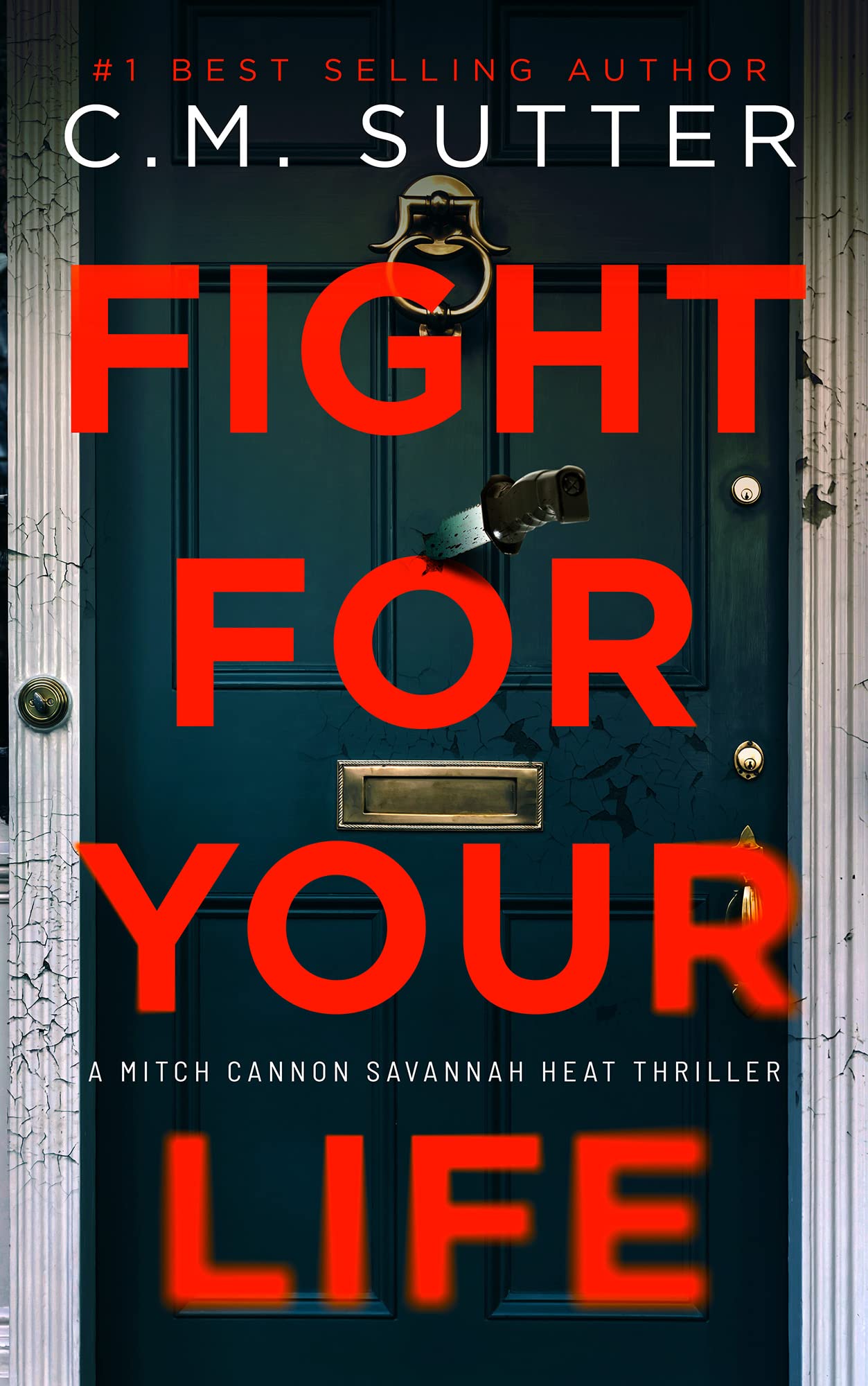 Mitch Cannon Savannah Heat Thrillers book cover 2