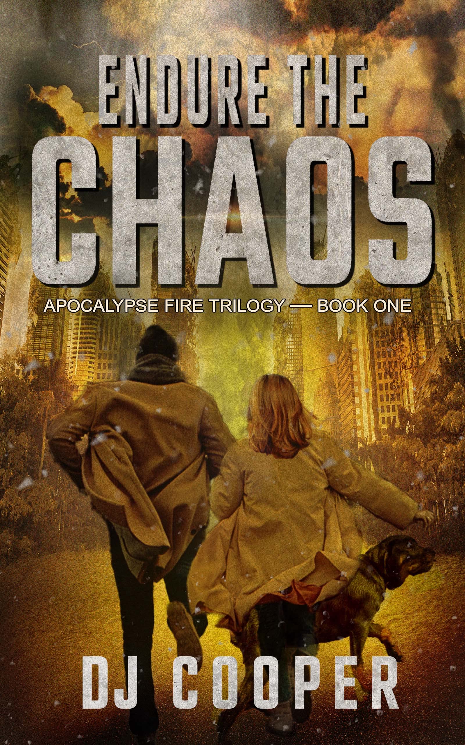 Endure the Chaos book cover