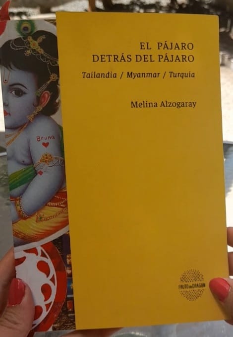 El pájaro detrás del pájaro