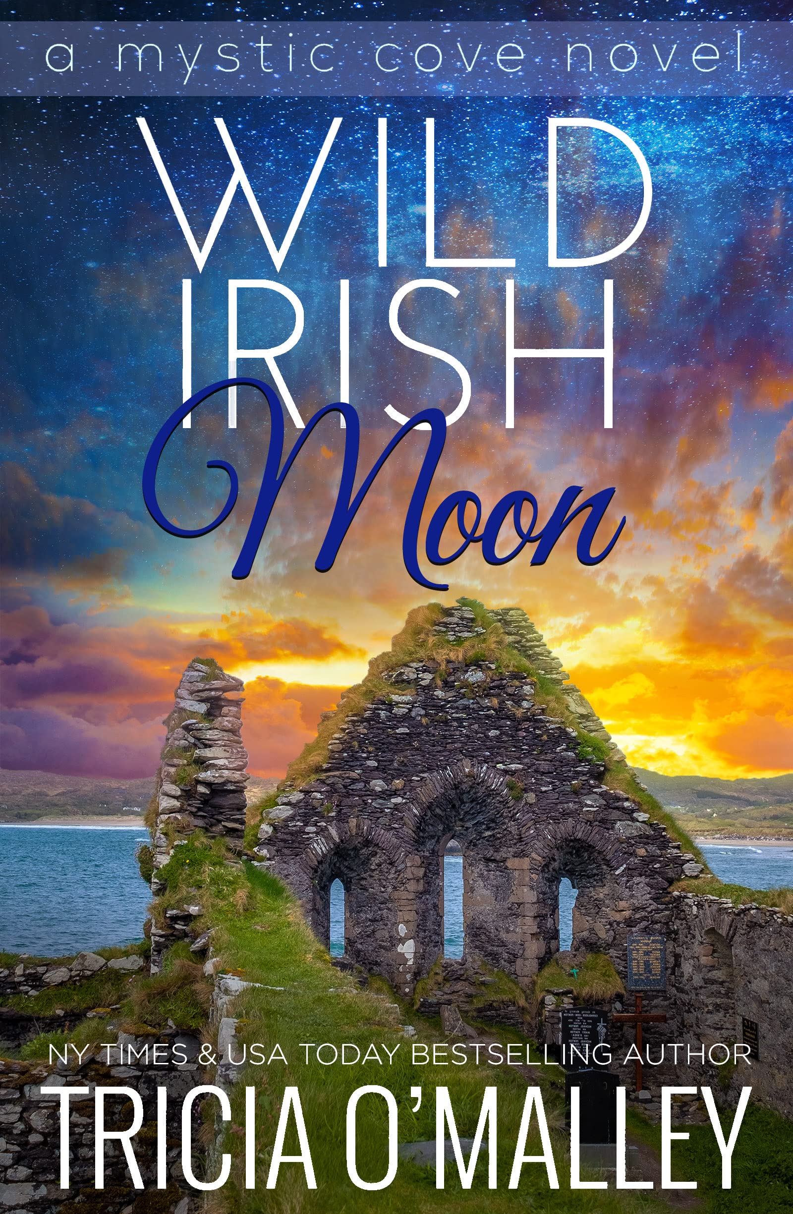 Wild Irish Moon book cover