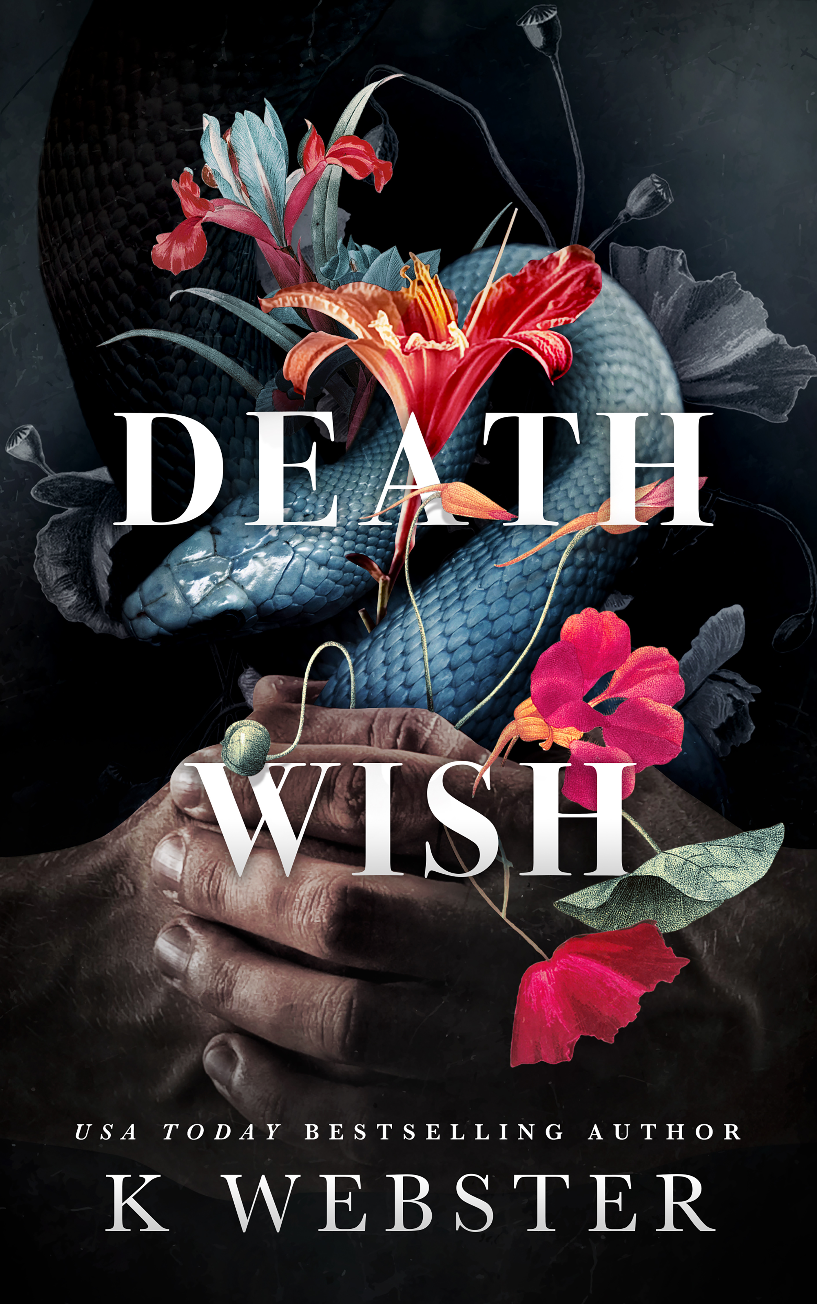 Death Wish (Deception Duet, #2)