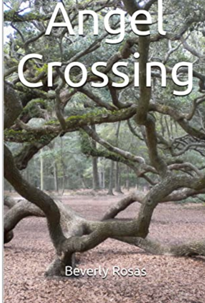 Angel Crossing by Beverly Rosas Goodreads