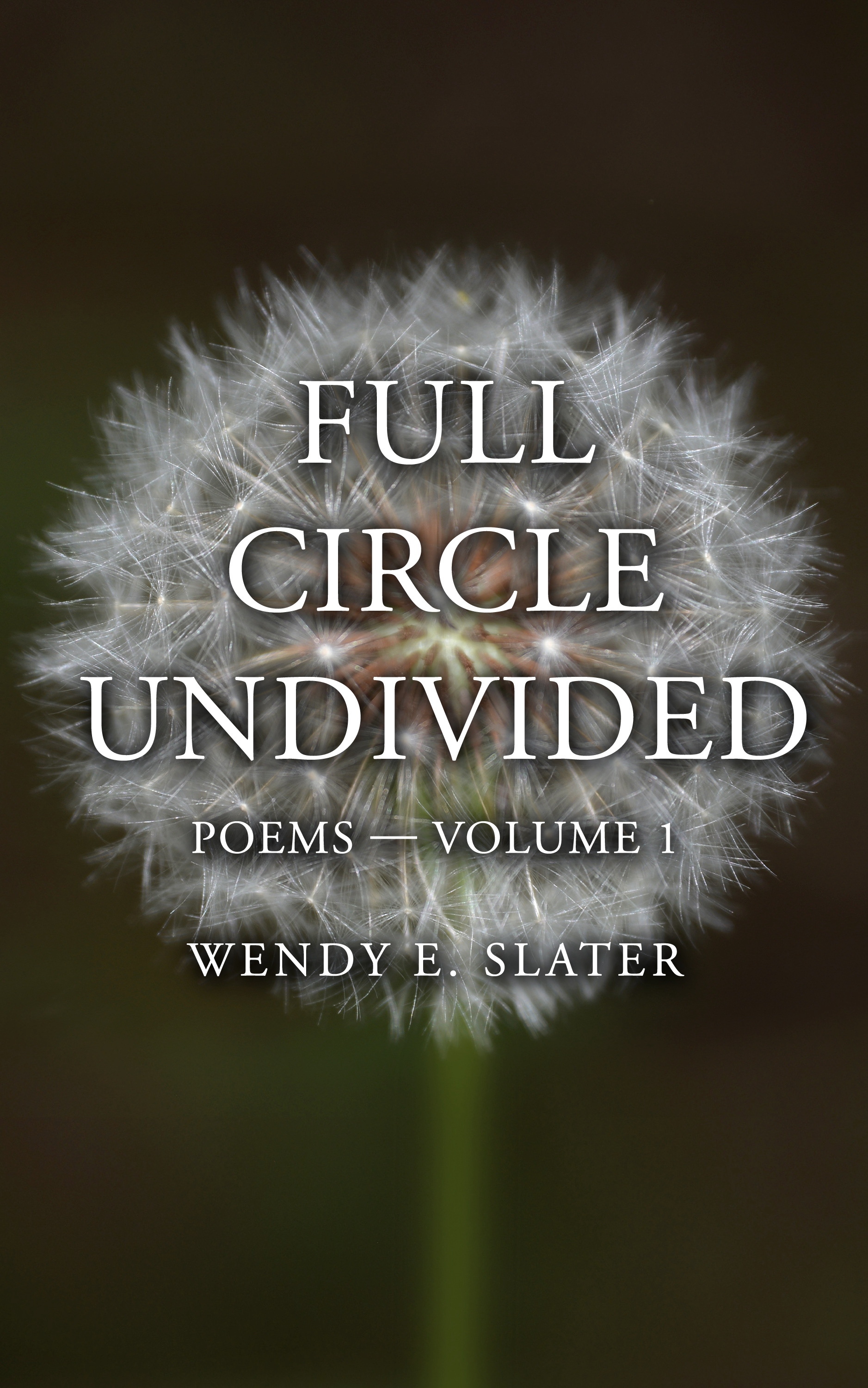 Full Circle Undivided