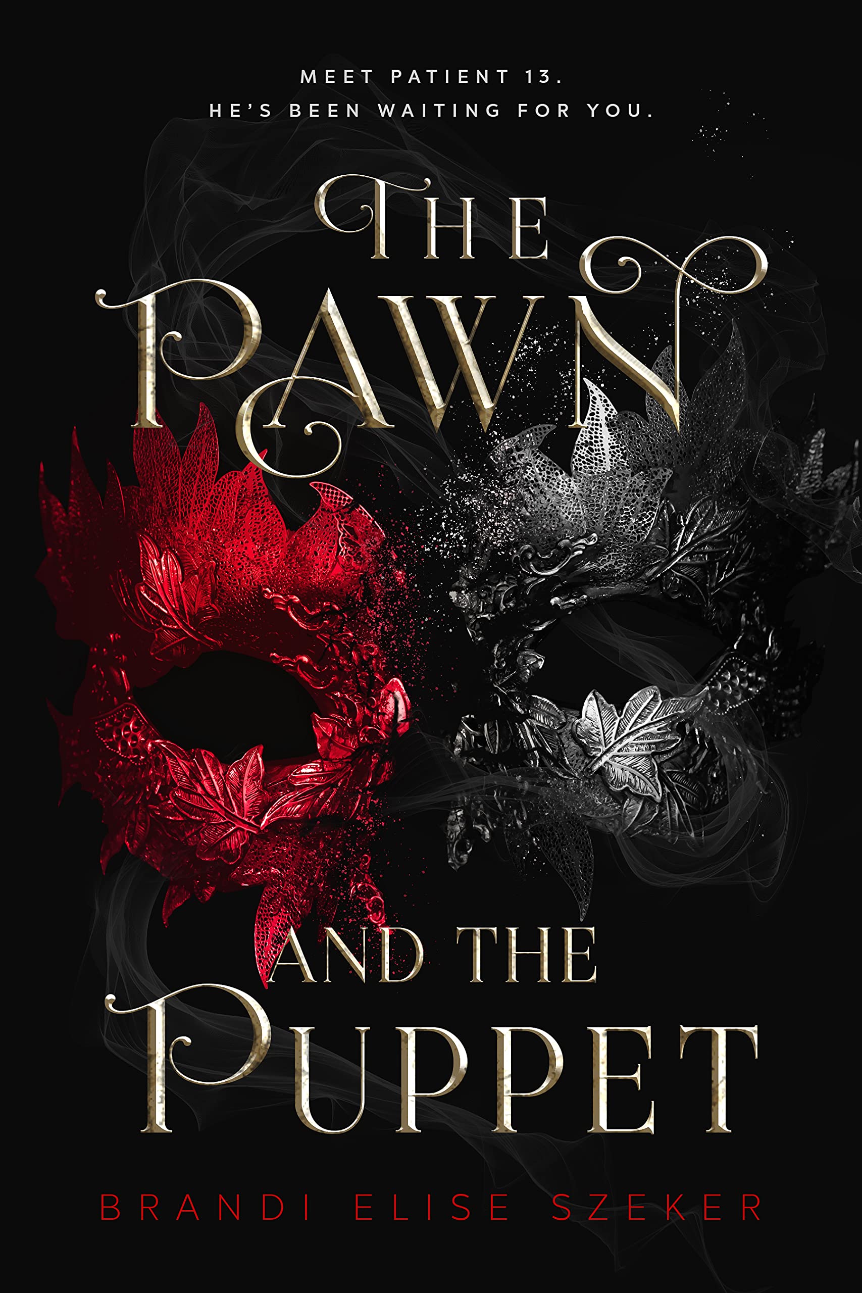 The Pawn and The Puppet (The Pawn and The Puppet #1)