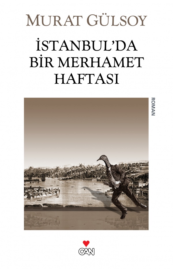 İstanbul'da Bir Merhamet Haftası book cover