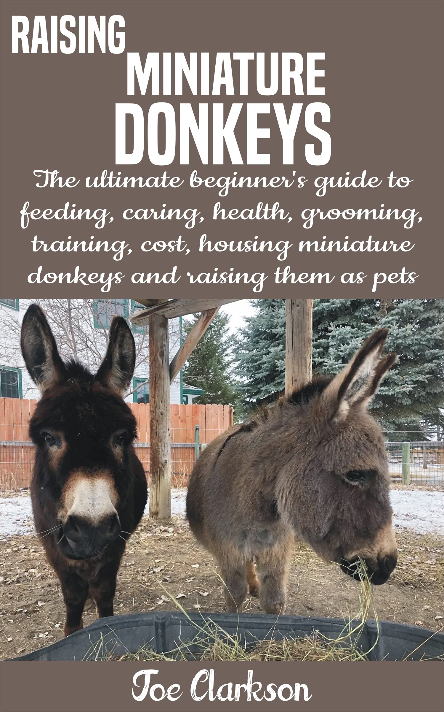 RAISING MINIATURE DONKEYS The ultimate beginner’s guide to feeding