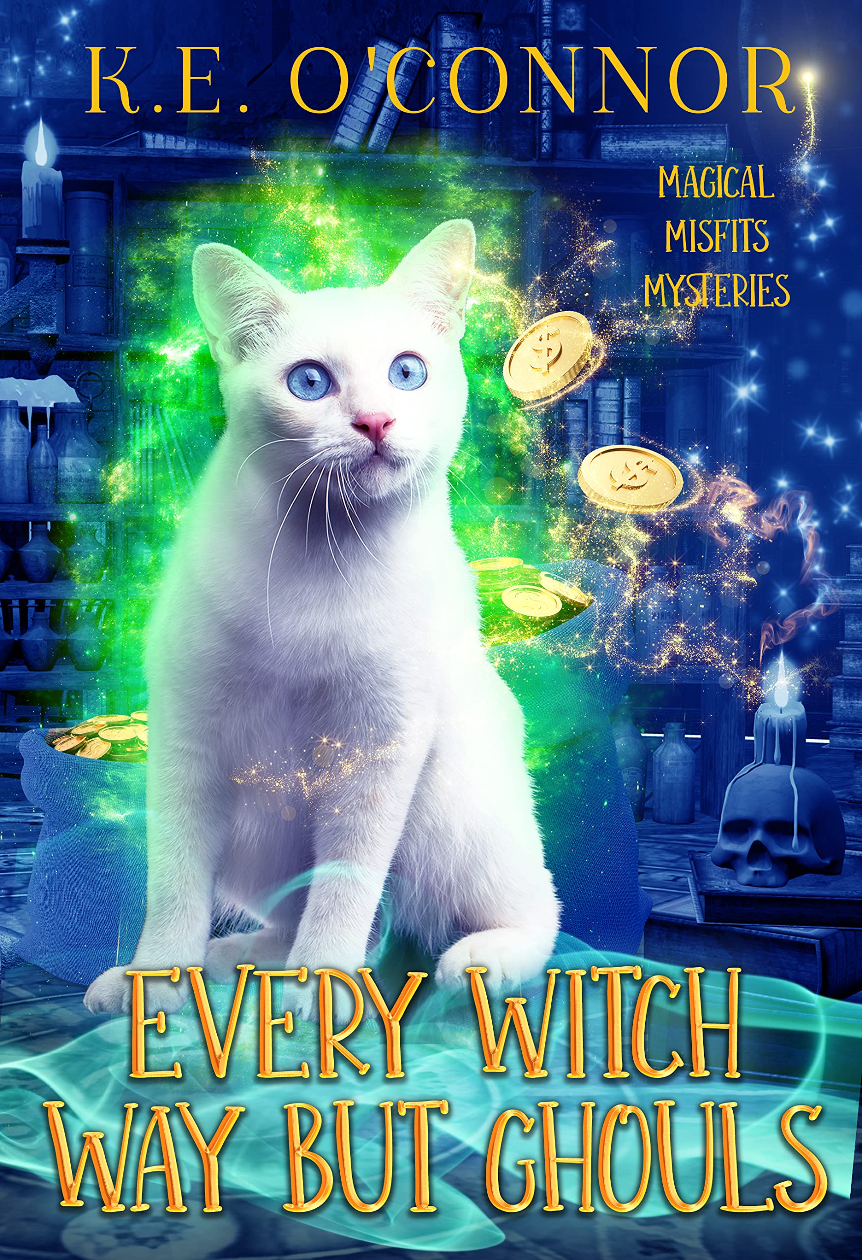 Magical Misfits Mysteries book cover 1