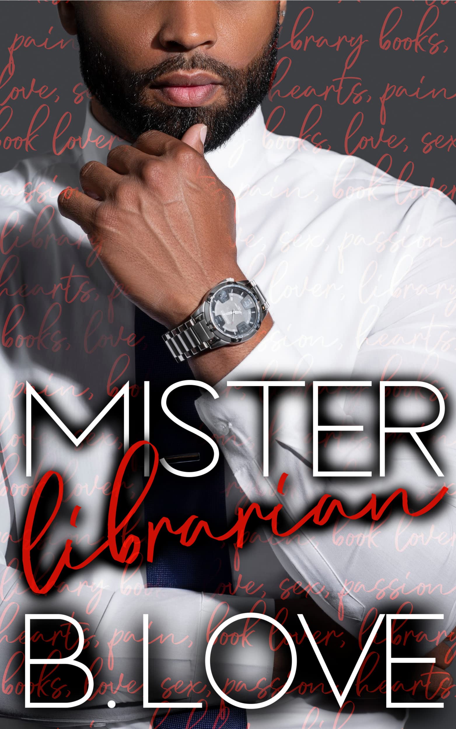 Mister Librarian book cover