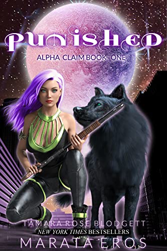 Punished book cover