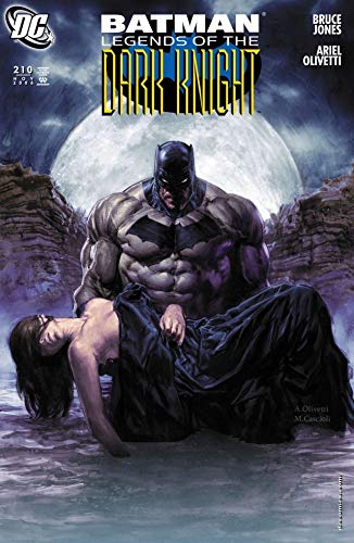Batman book cover