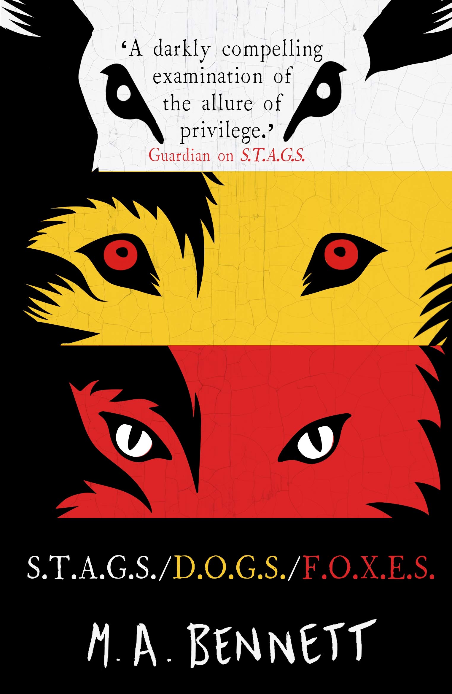 STAGS eBook box set
