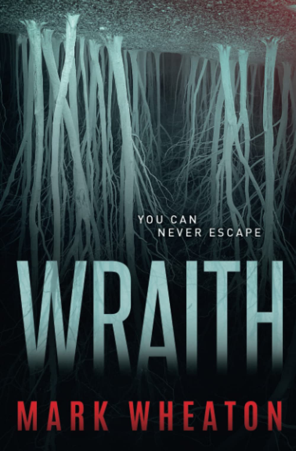 Wraith book cover
