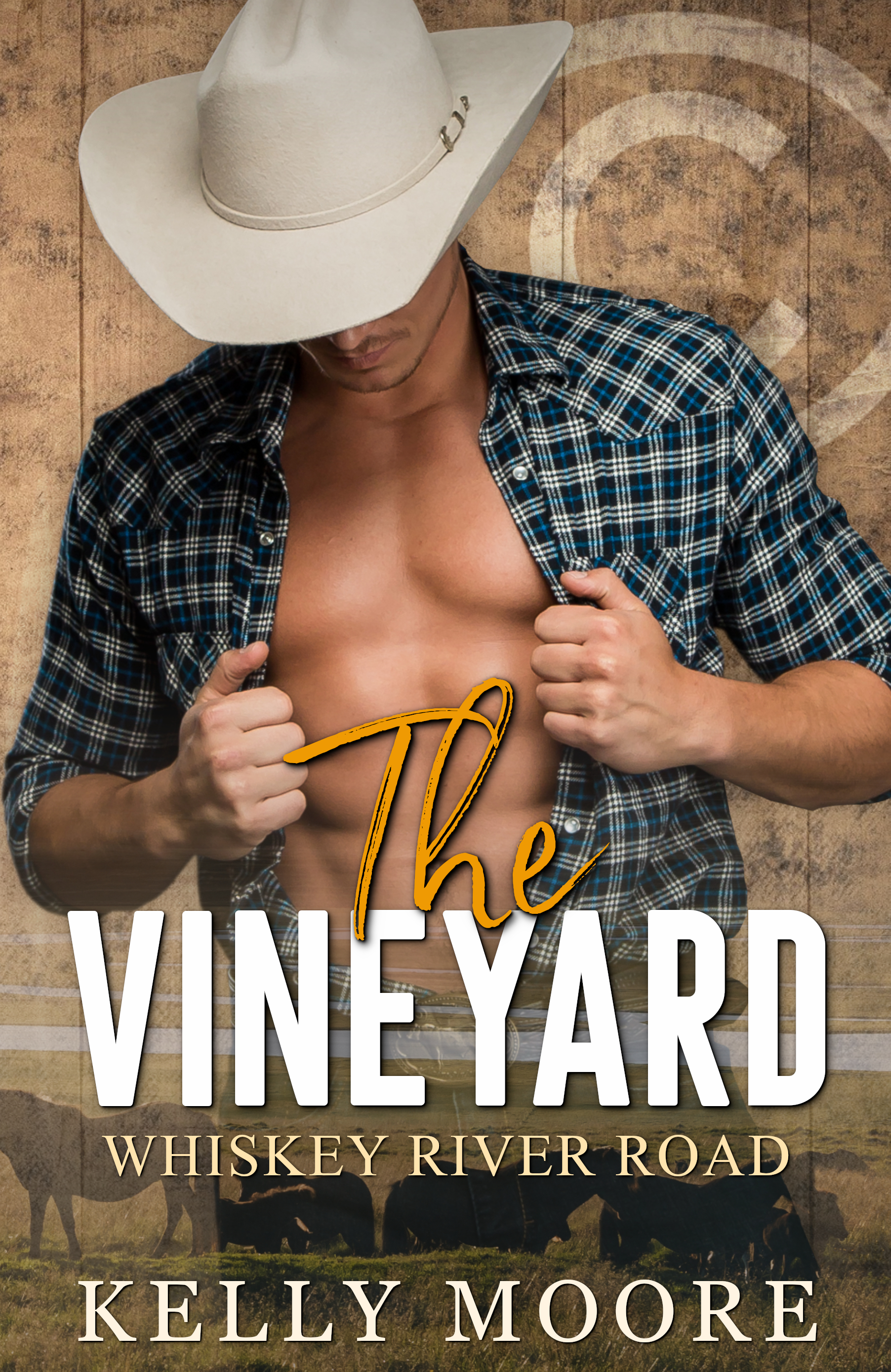 The Vineyard book cover