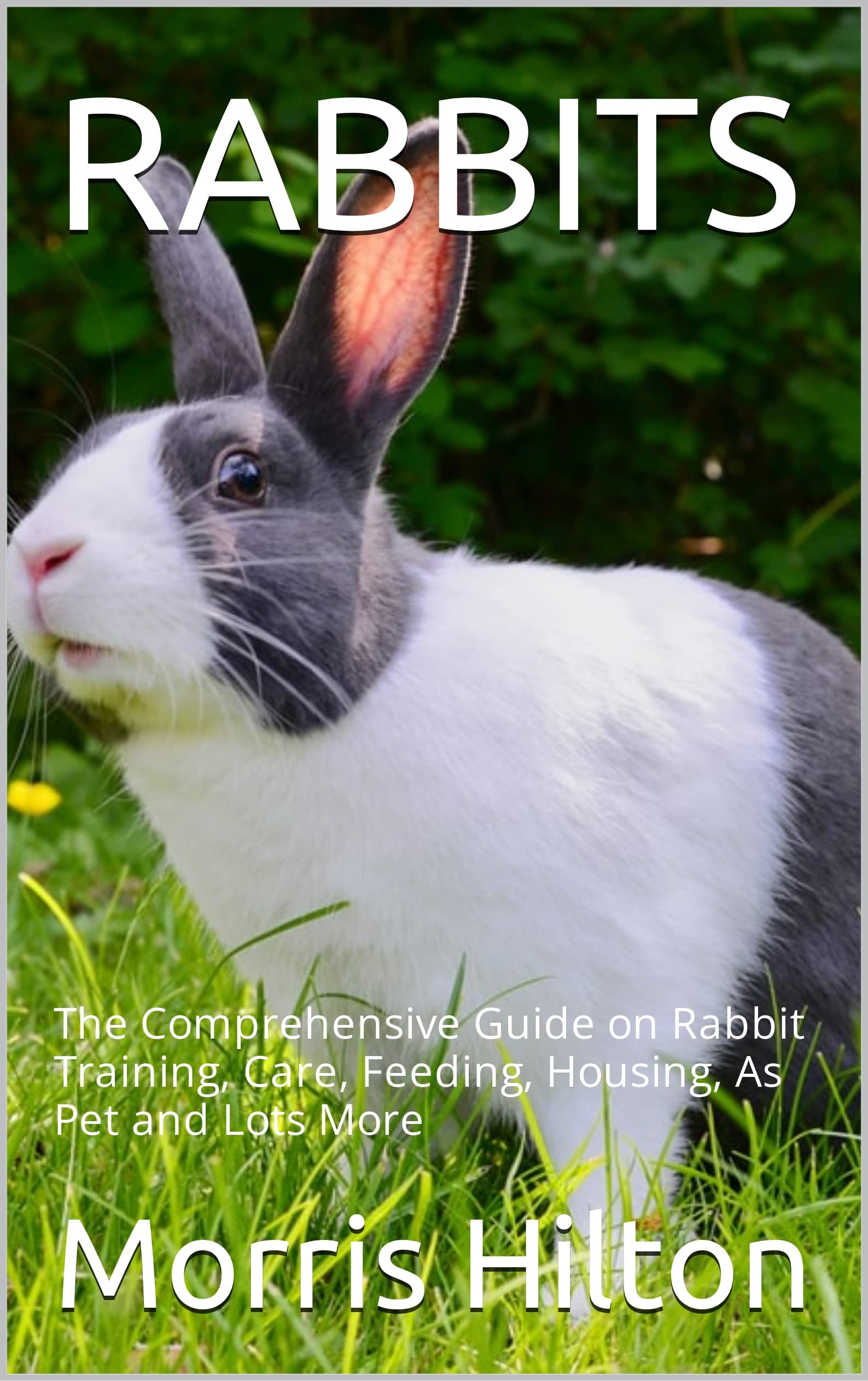 RABBITS: The Comprehensive Guide on Rabbit Training, Care, Feeding ...