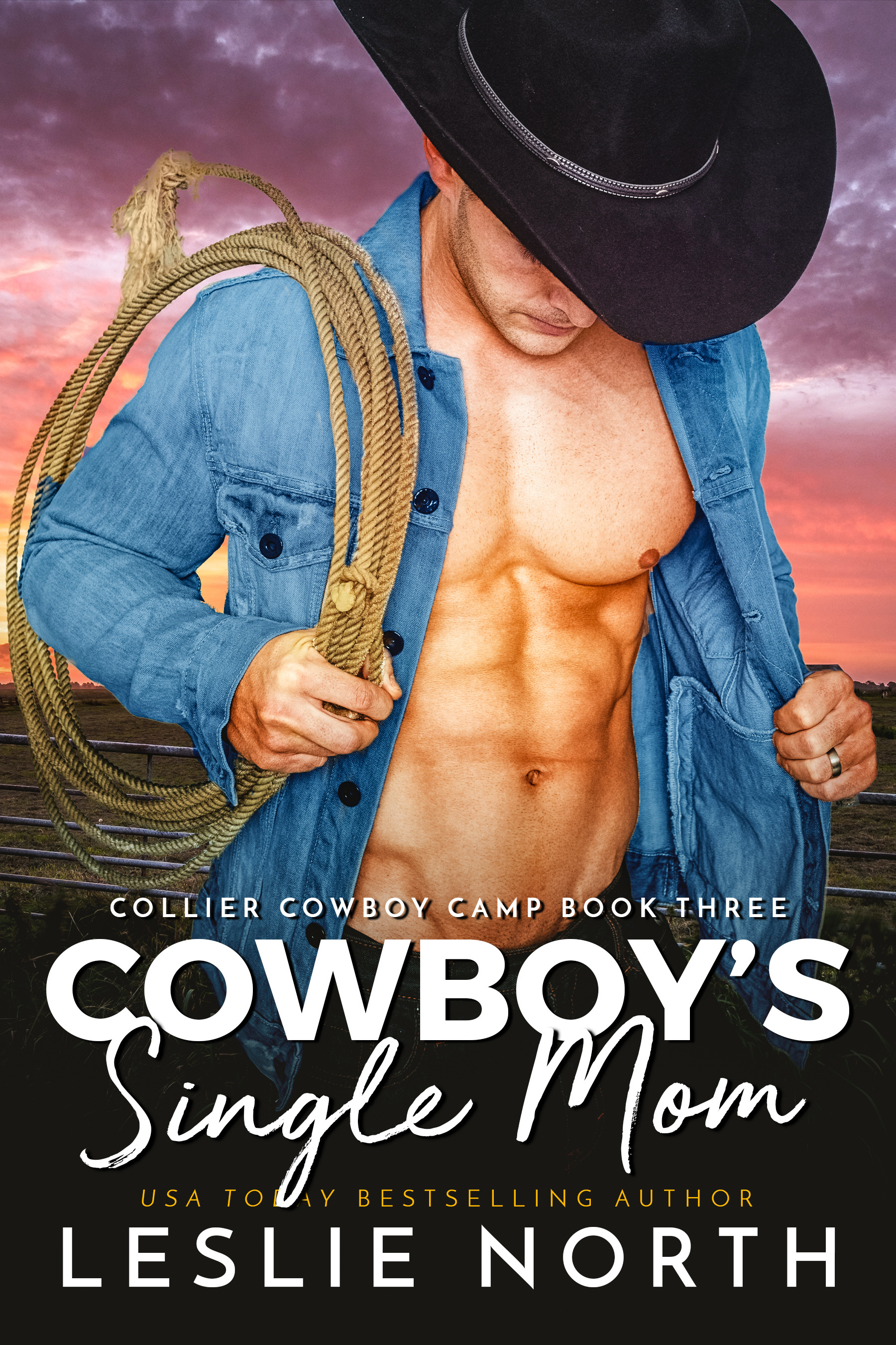Collier Cowboy Camp book cover 2