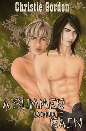 A Summer Without Rain book cover