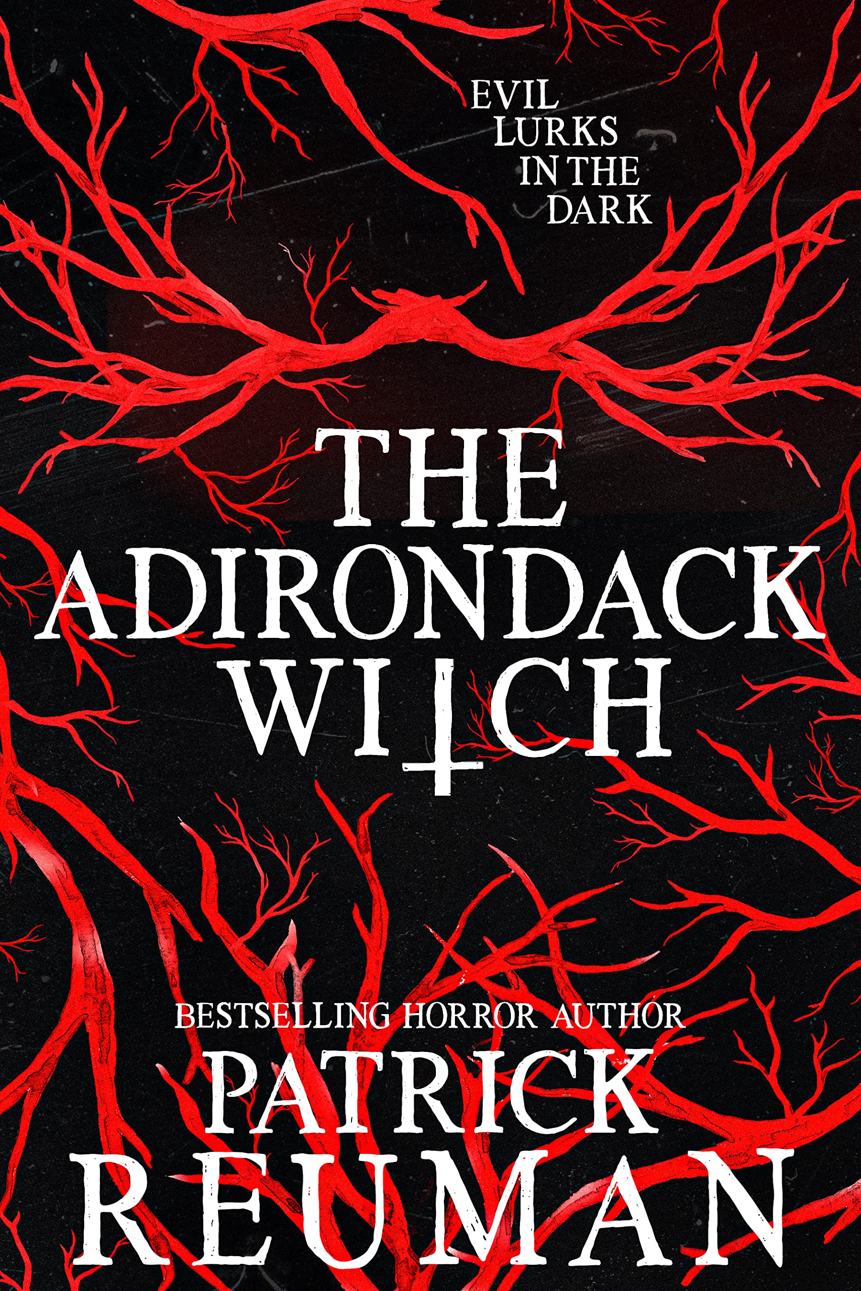 The Adirondack Witch