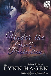 Willow Point book cover 3