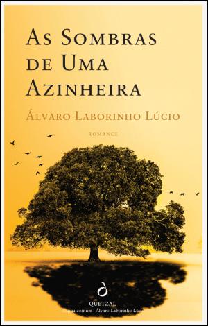 As Sombras de Uma Azinheira