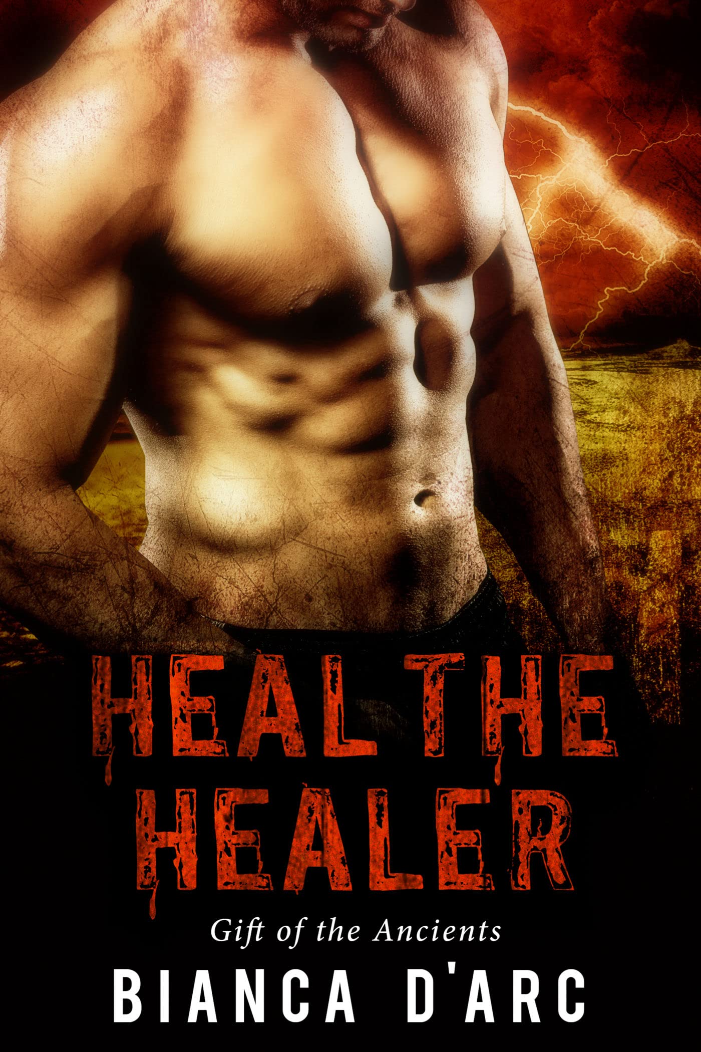 Heal the Healer book cover