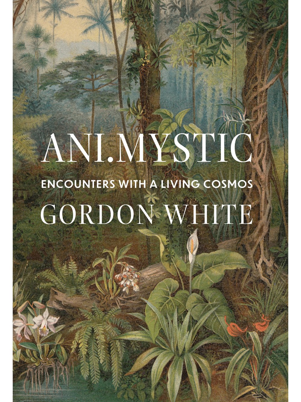 Ani.Mystic