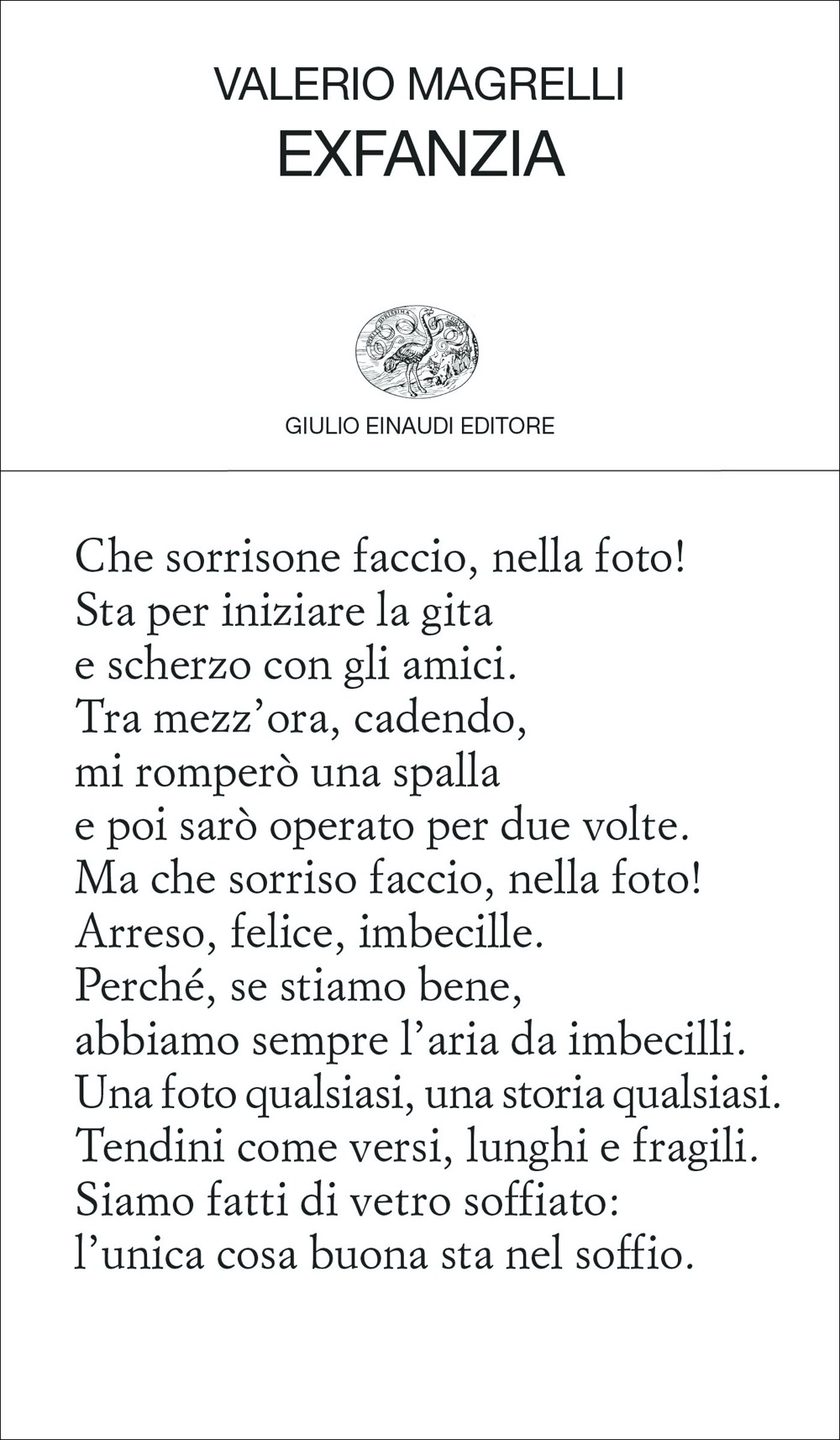 Exfanzia book cover