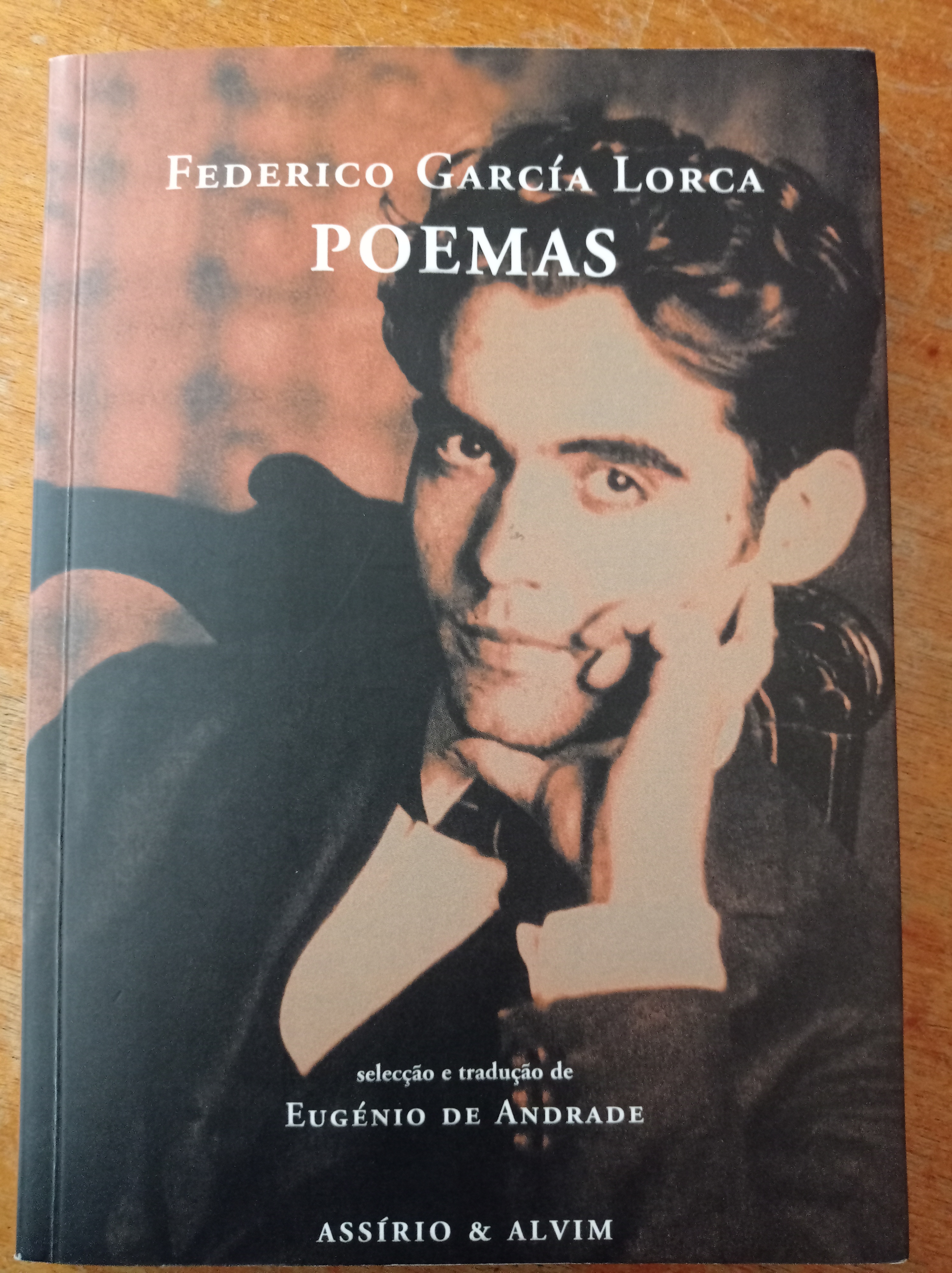 Frederico García Lorca Poemas book cover