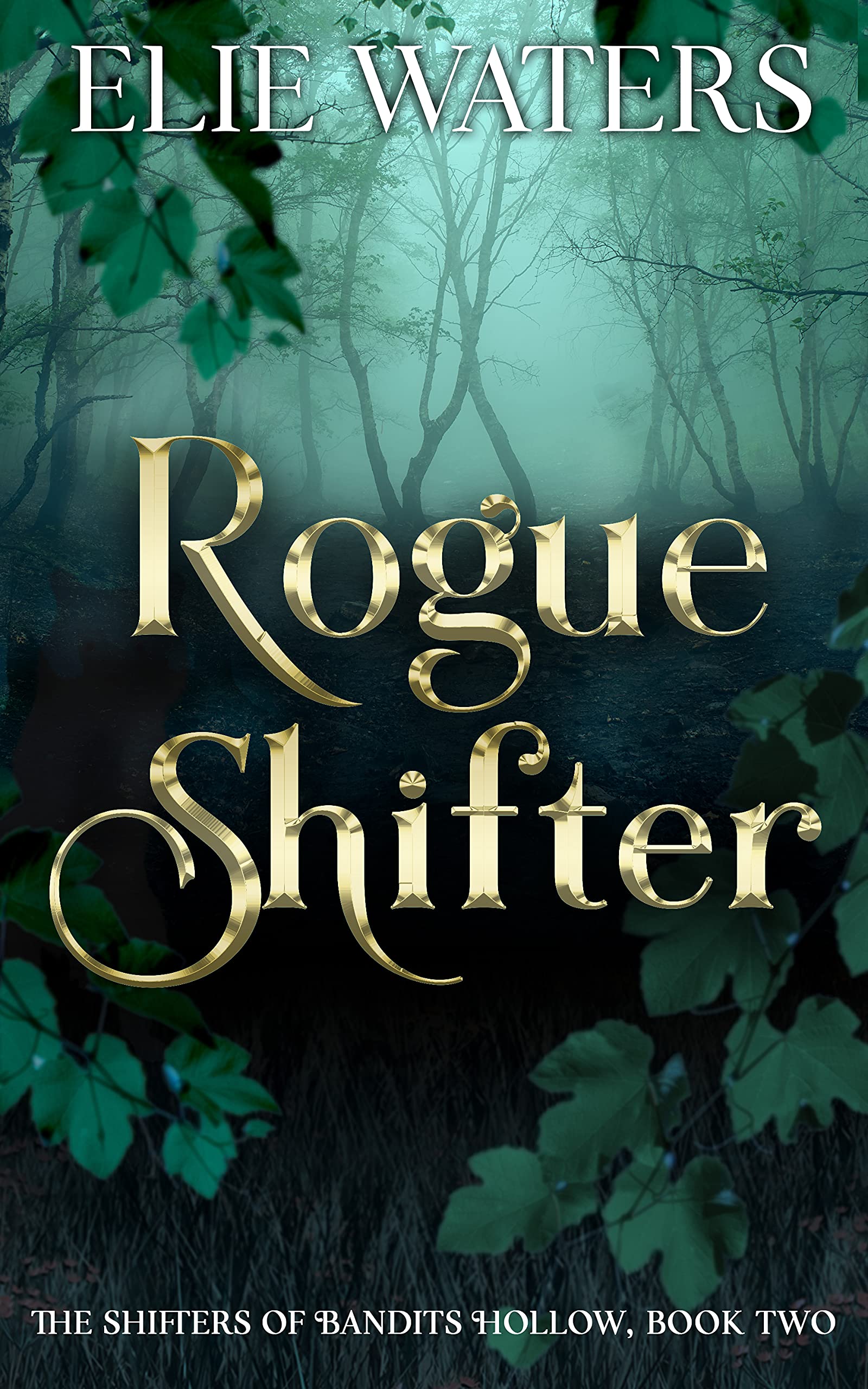 Rogue Shifter (The Shifters of Bandits Hollow Book 2) by Elie Waters