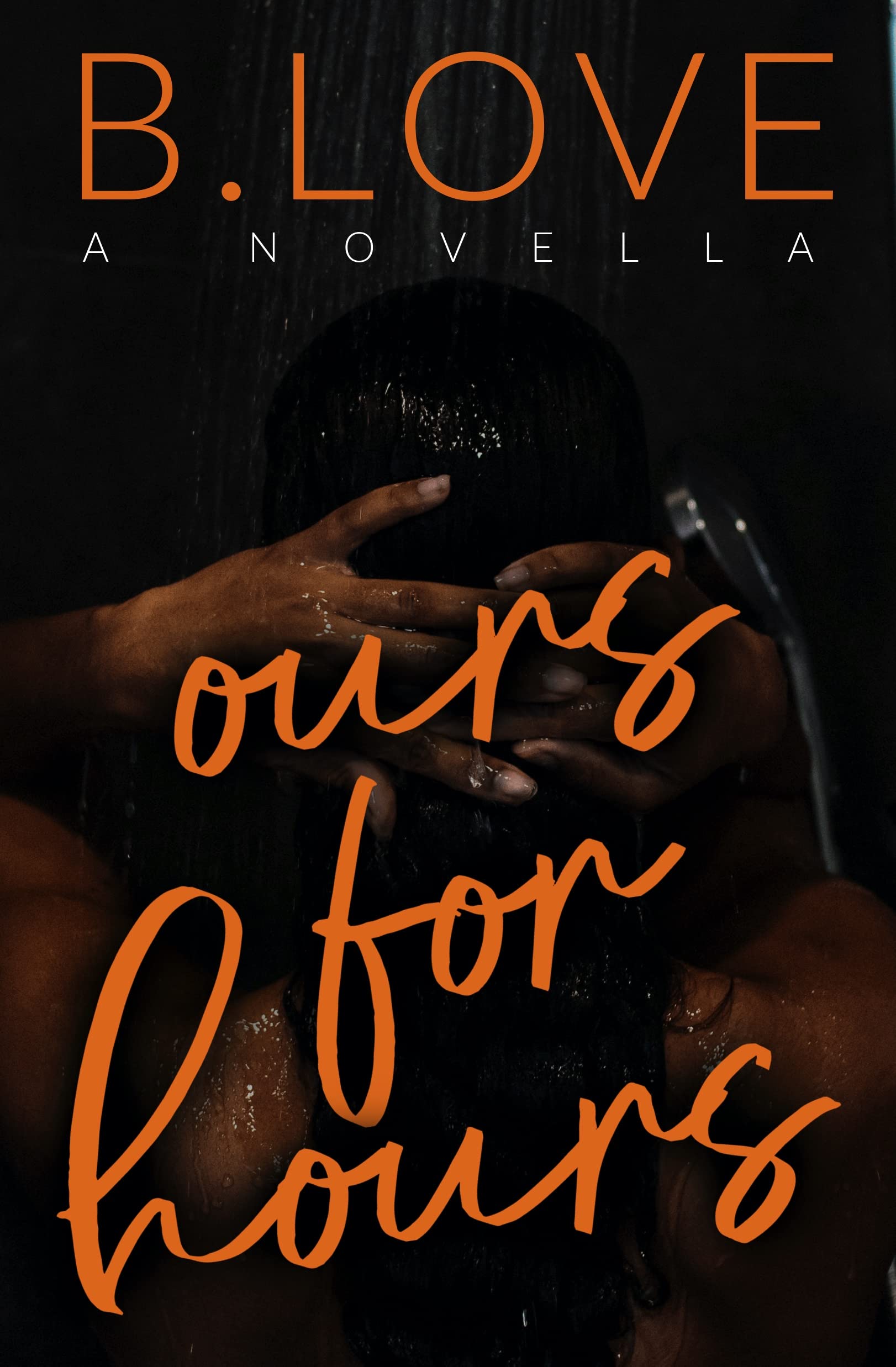 Ours for Hours book cover