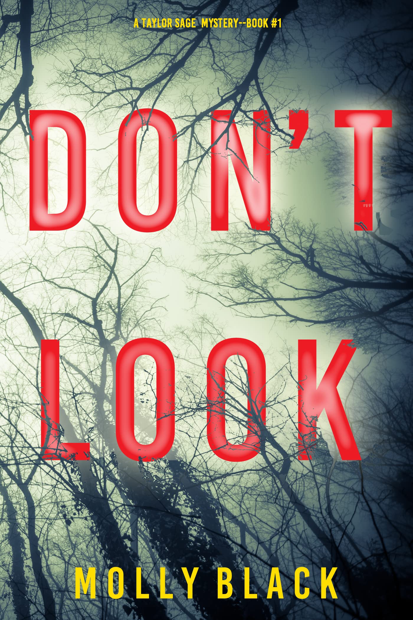 Don't Look book cover