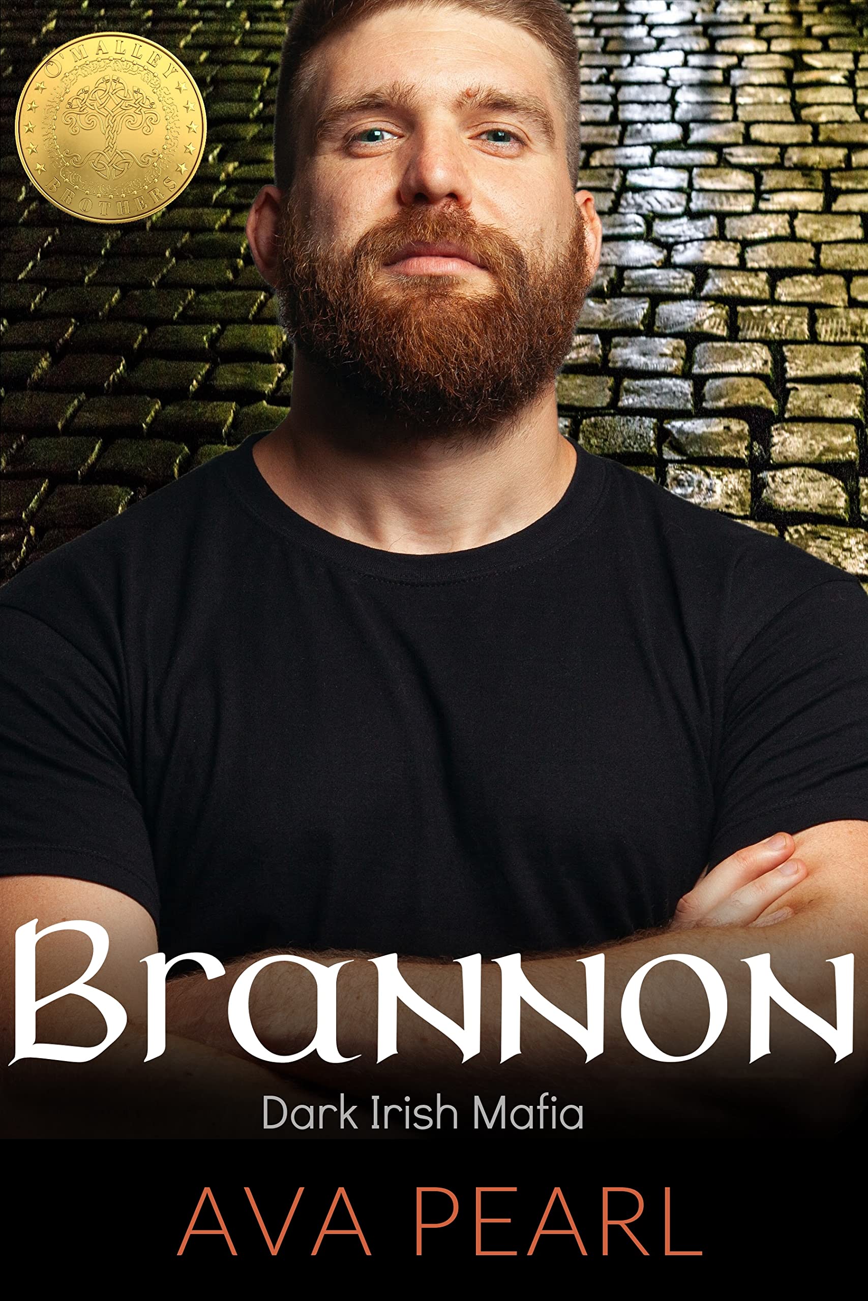 Brannon book cover