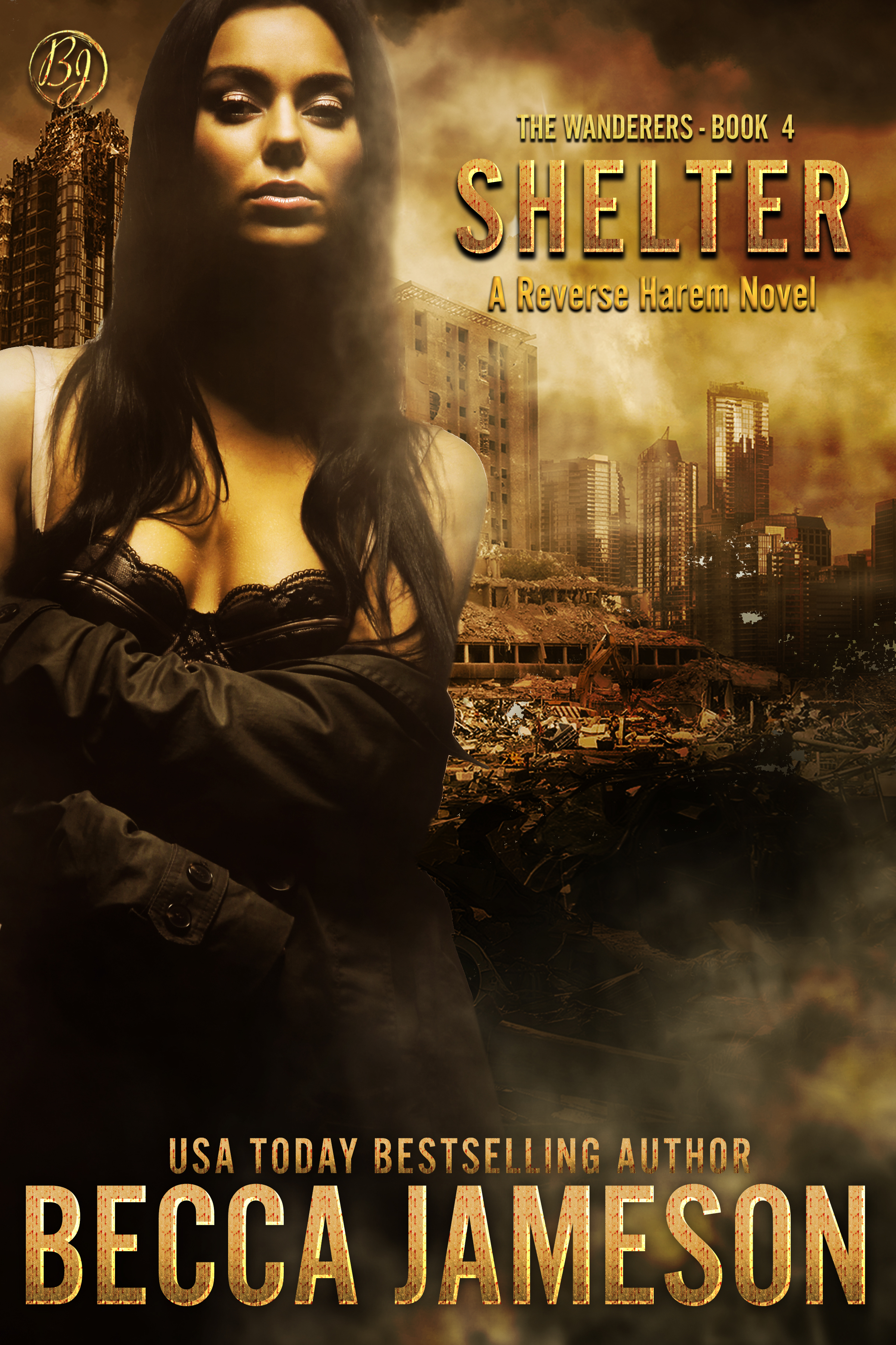 Shelter book cover