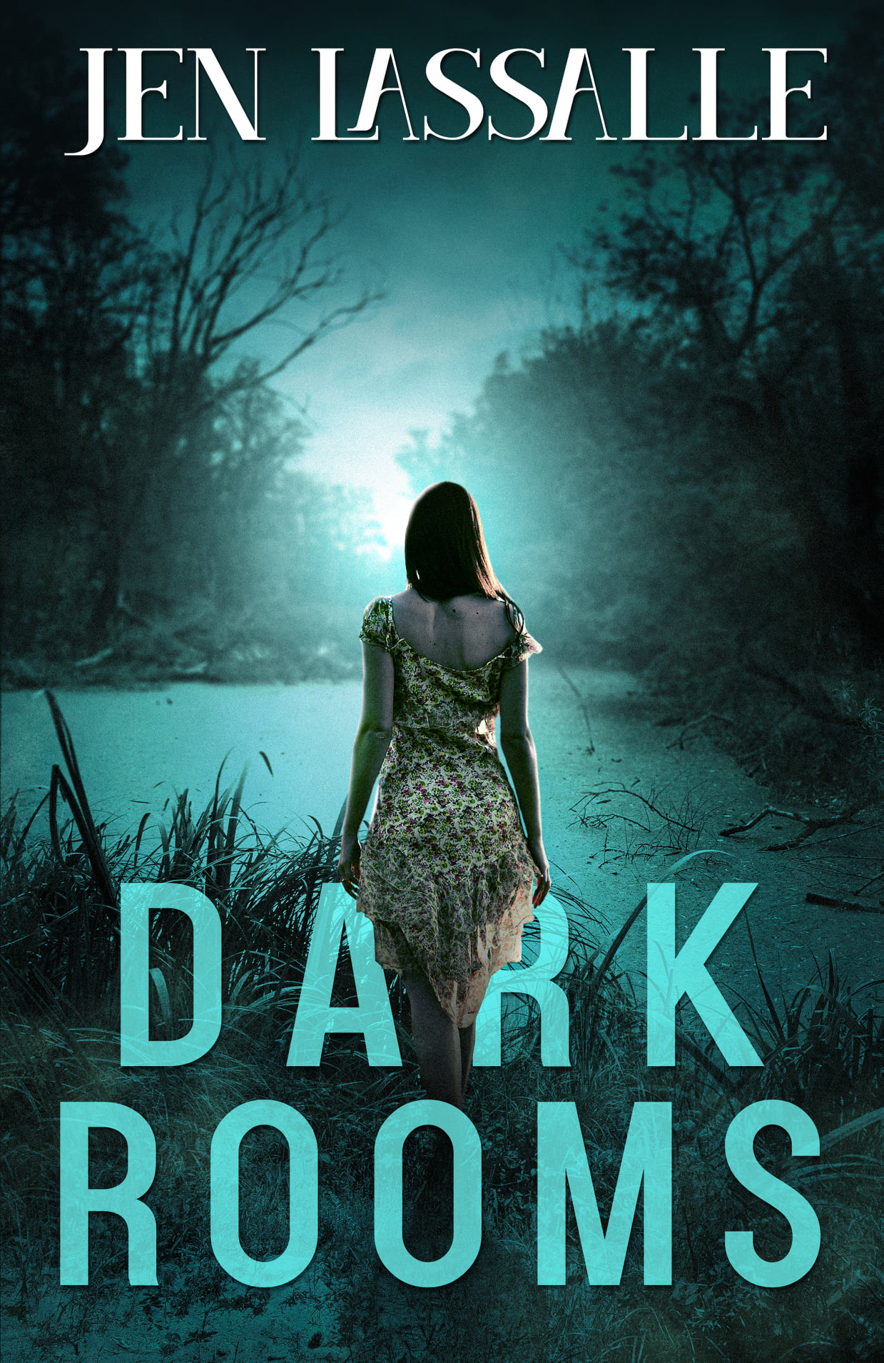 Dark Rooms by Jen Lassalle Goodreads