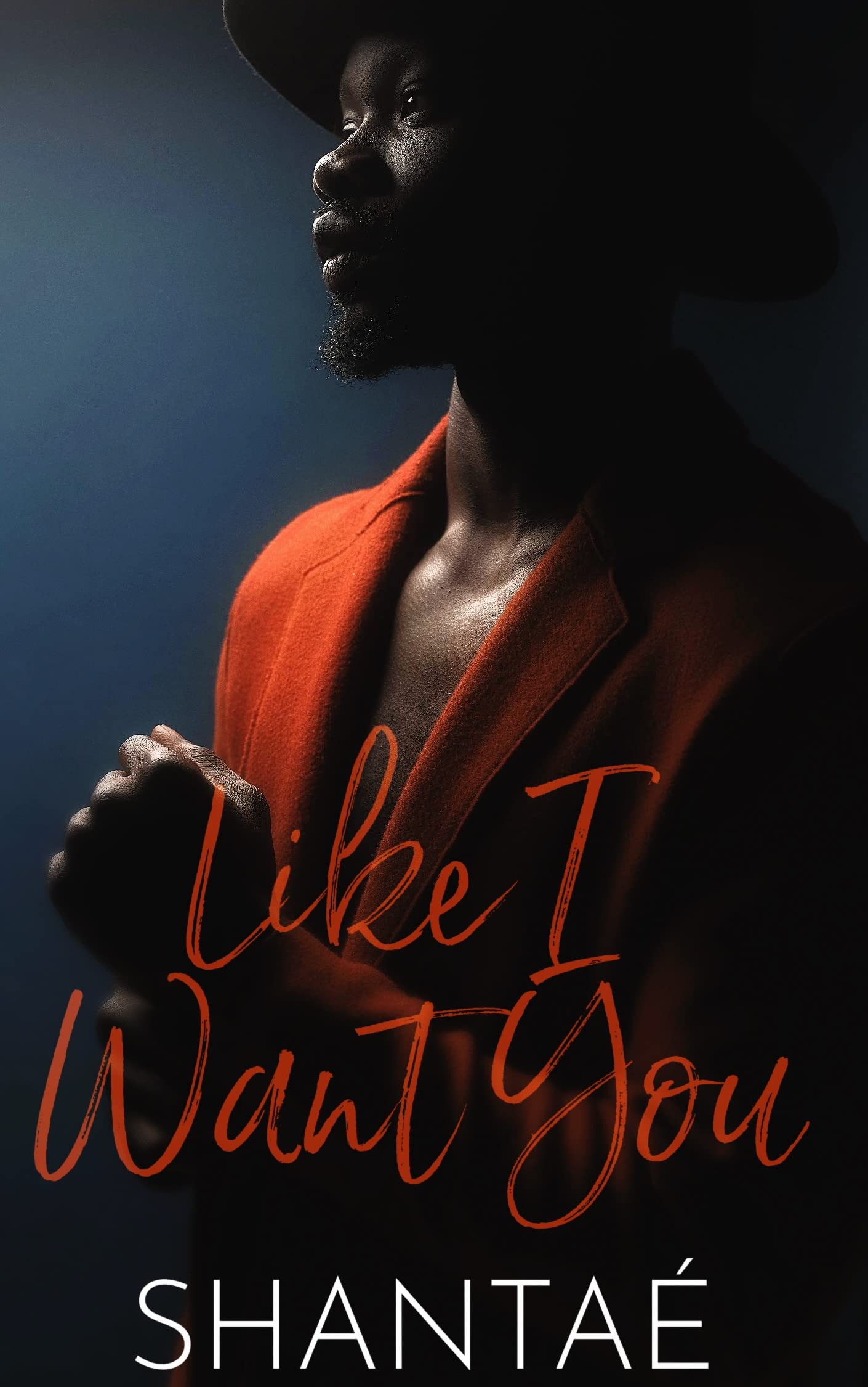 Like I Want You book cover