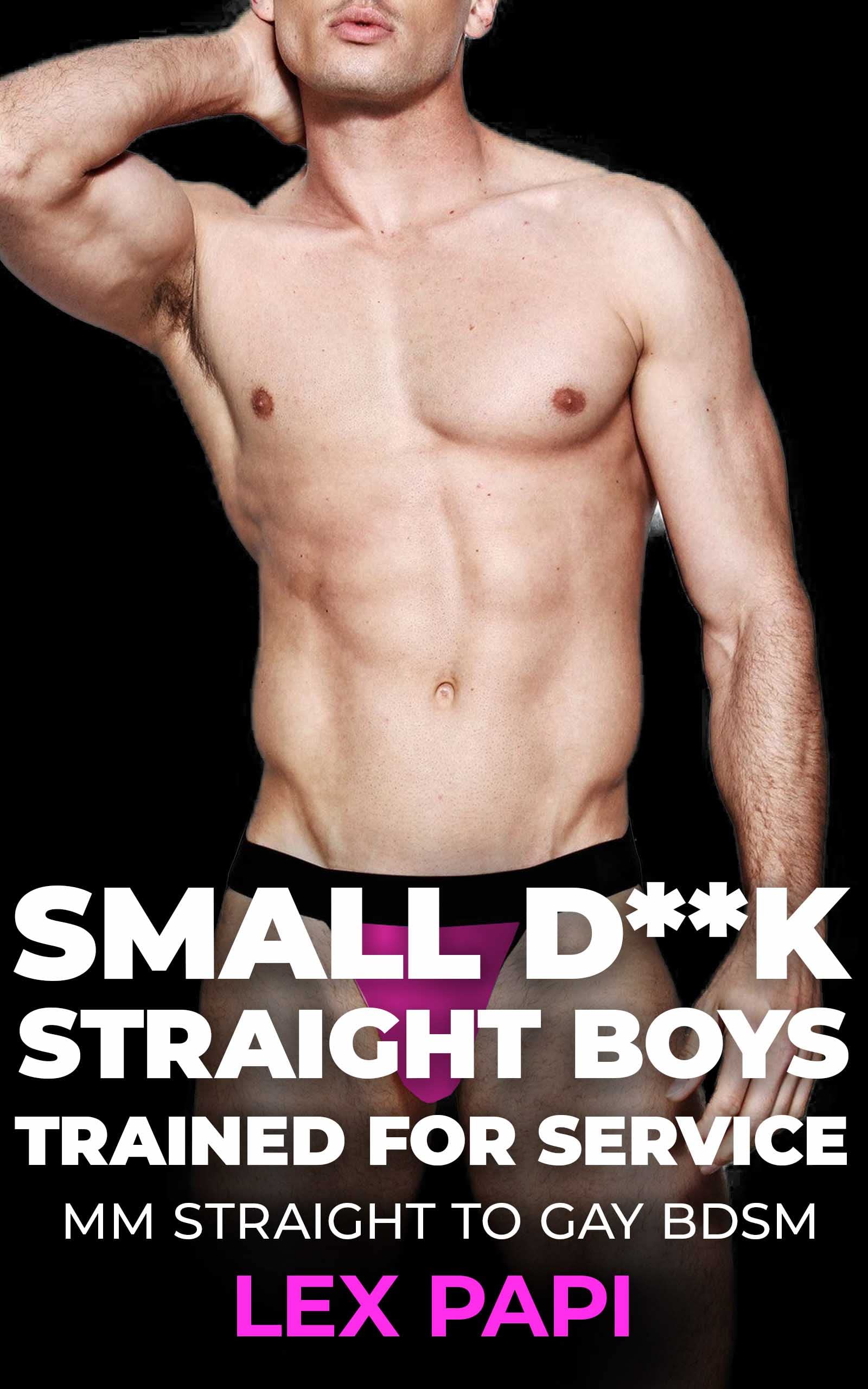 SMALL D**K STRAIGHT BOYS: Trained for Service: MM Straight to Gay Age Gap BDSM