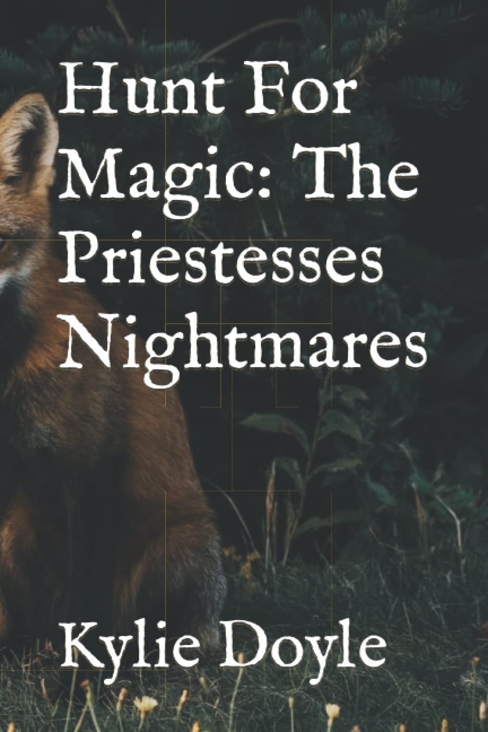 The Priestesses Nightmares (Hunt For Magic Book 1) by Kylie Doyle ...