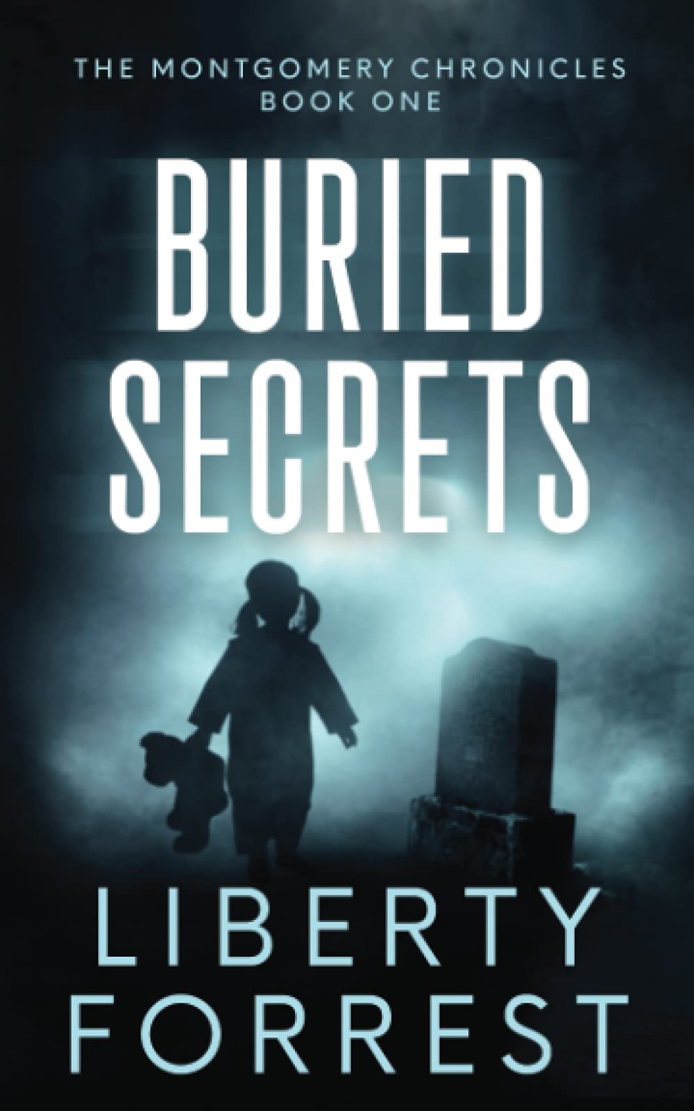 Buried Secrets HeartWrenching Literary Women's Fiction (Montgomery