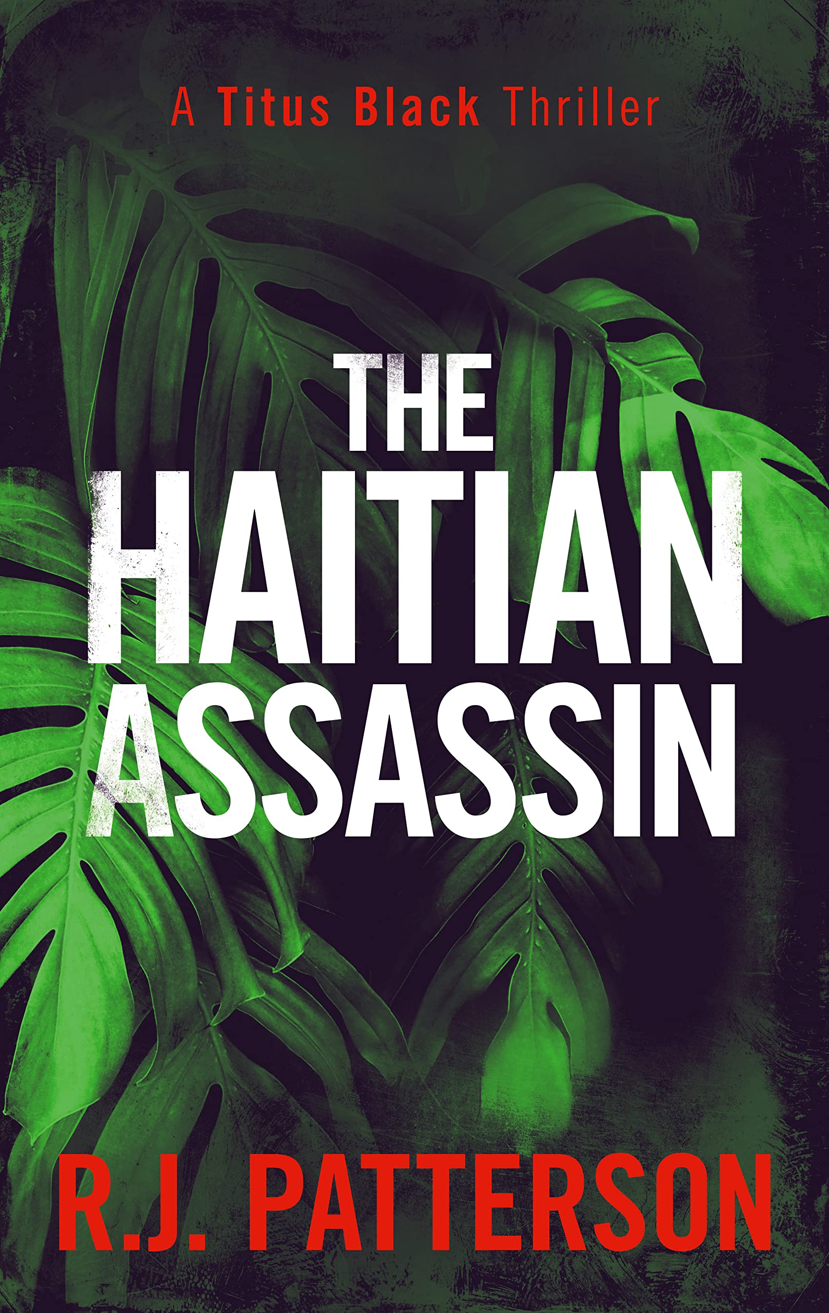 The Haitian Assassin book cover