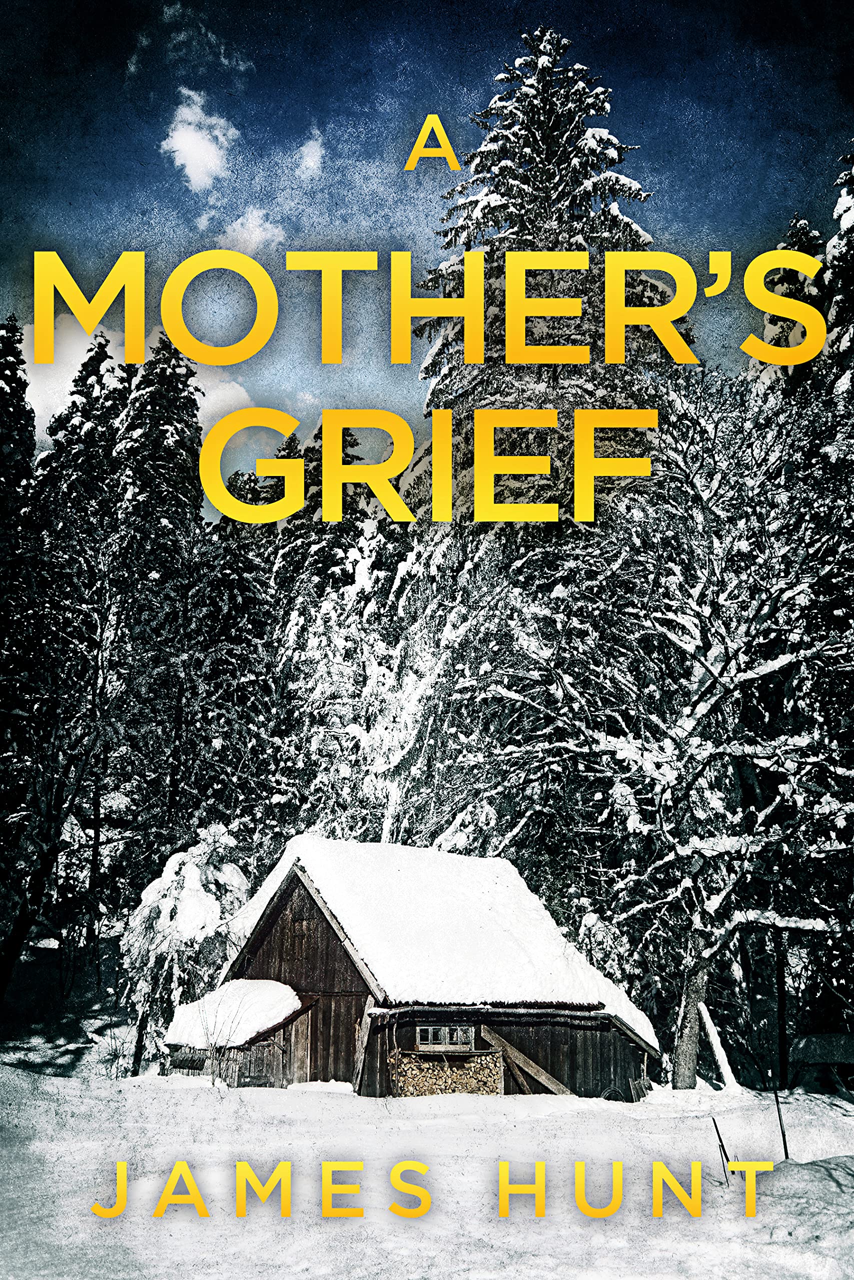 A Mother's Grief book cover