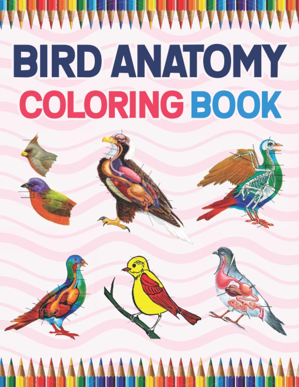 Bird Anatomy Coloring Book: Ornithology Coloring Book for Ornithologist ...