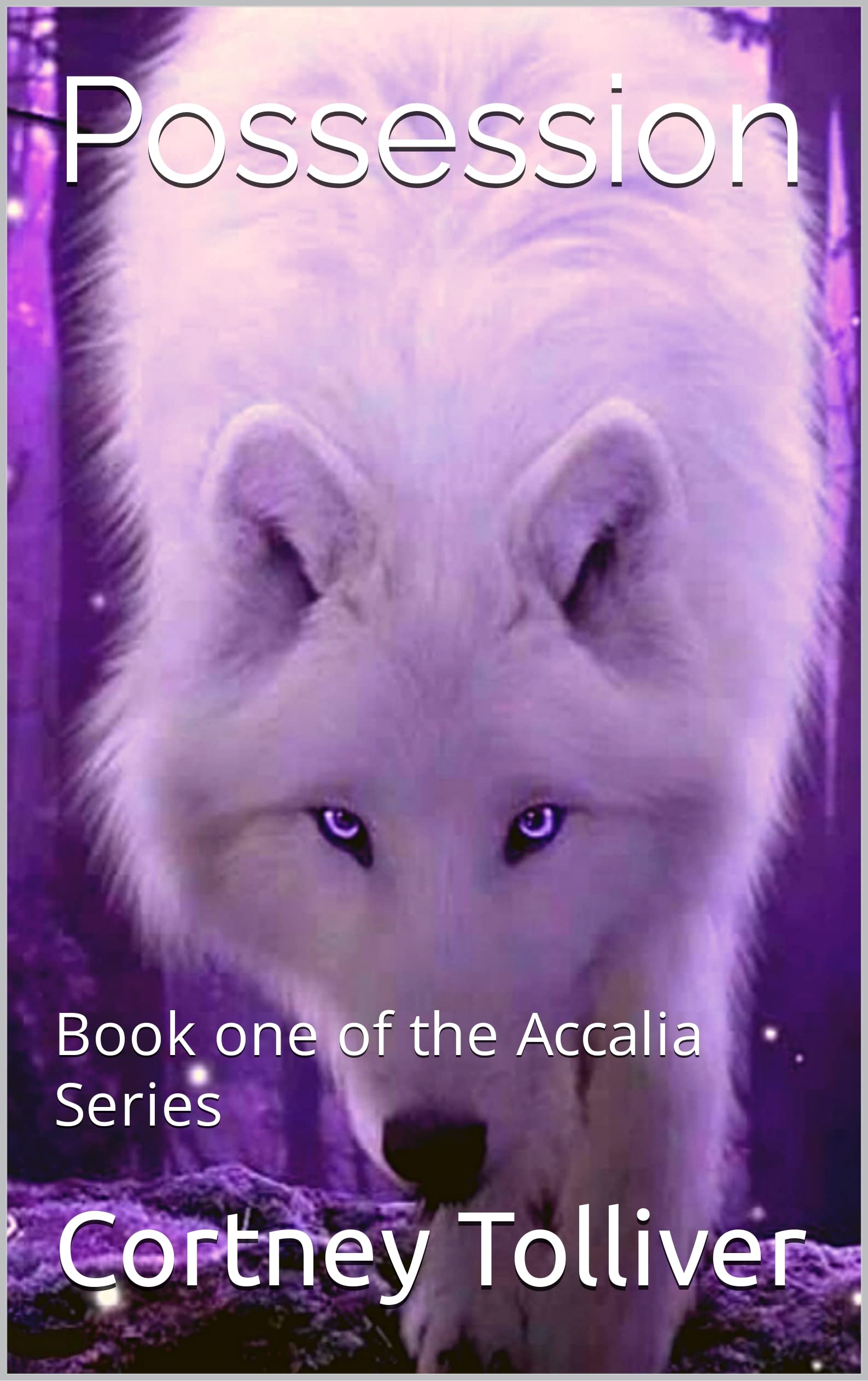 Possession: Book one of the Accalia Series