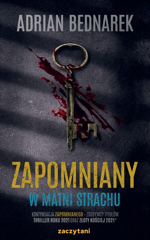 Zapomniany. W matni strachu book cover