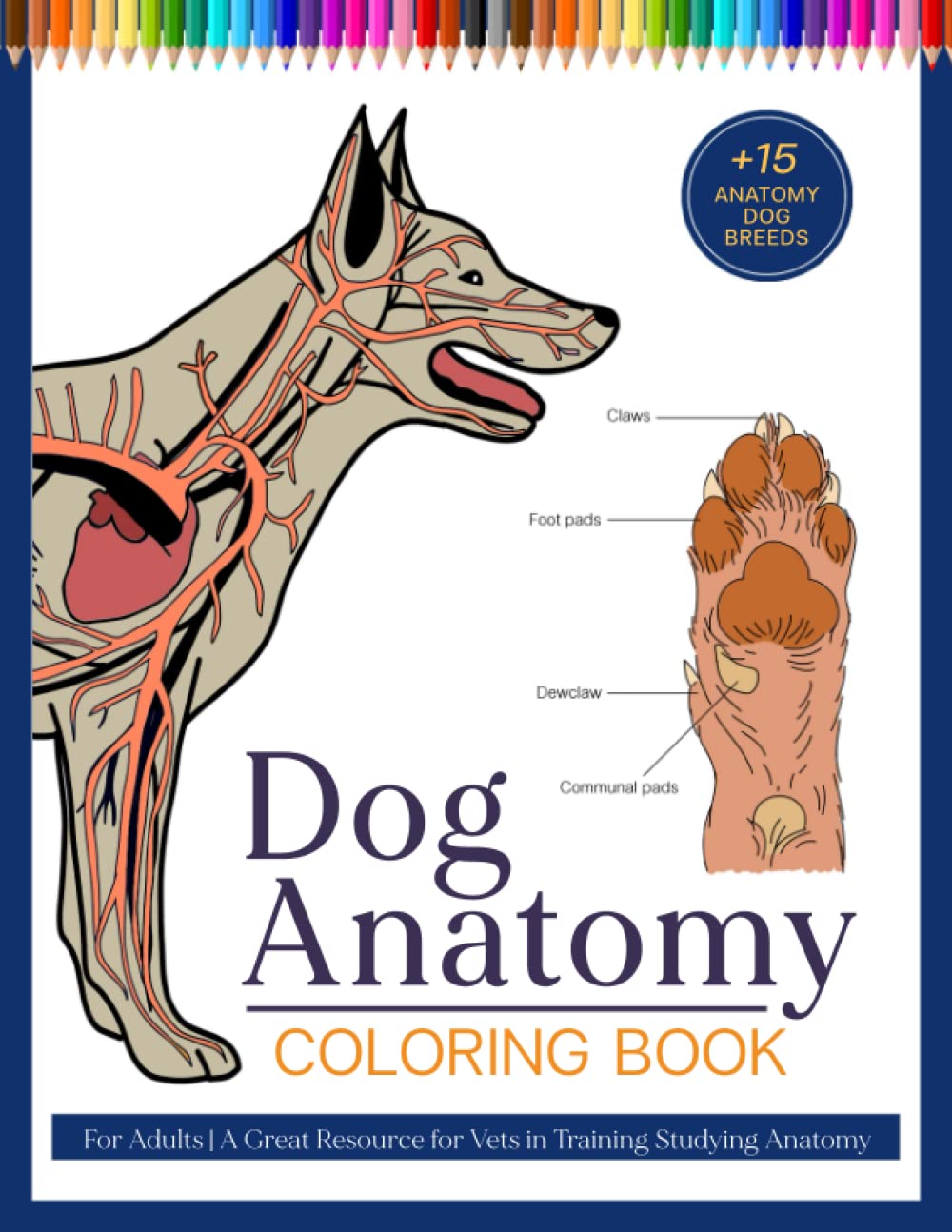 Dog Anatomy Coloring Book For Adults: A Great Resource for Vets in Training Studying Anatomy by ...
