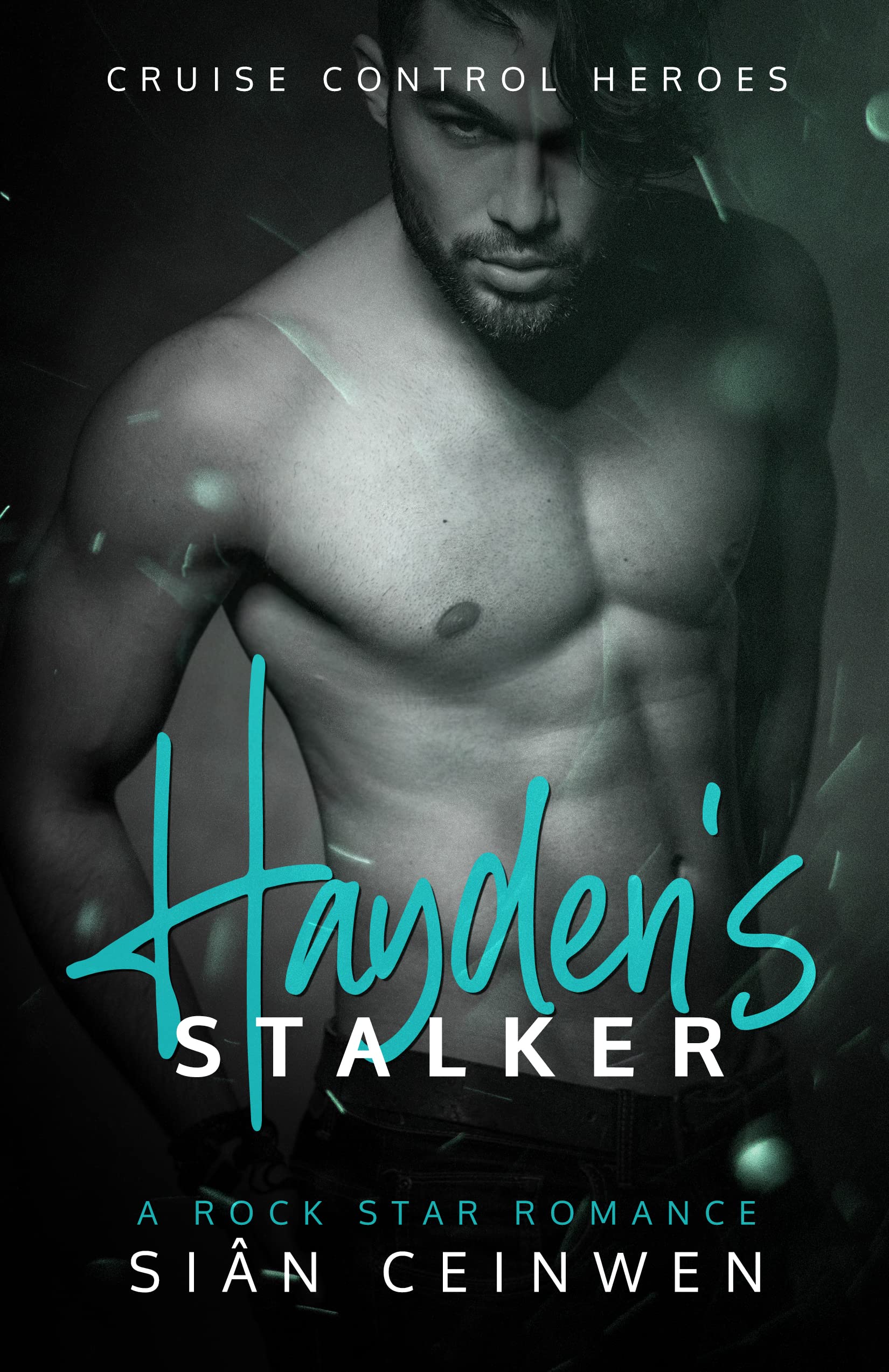 Hayden's Stalker book cover