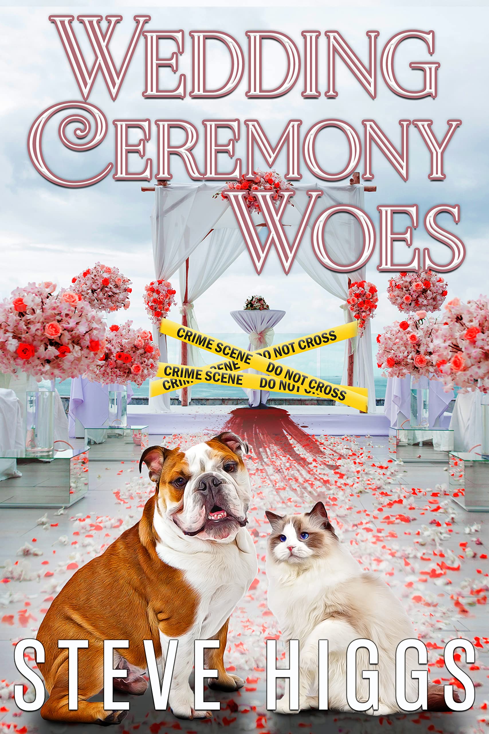 Wedding Ceremony Woes book cover